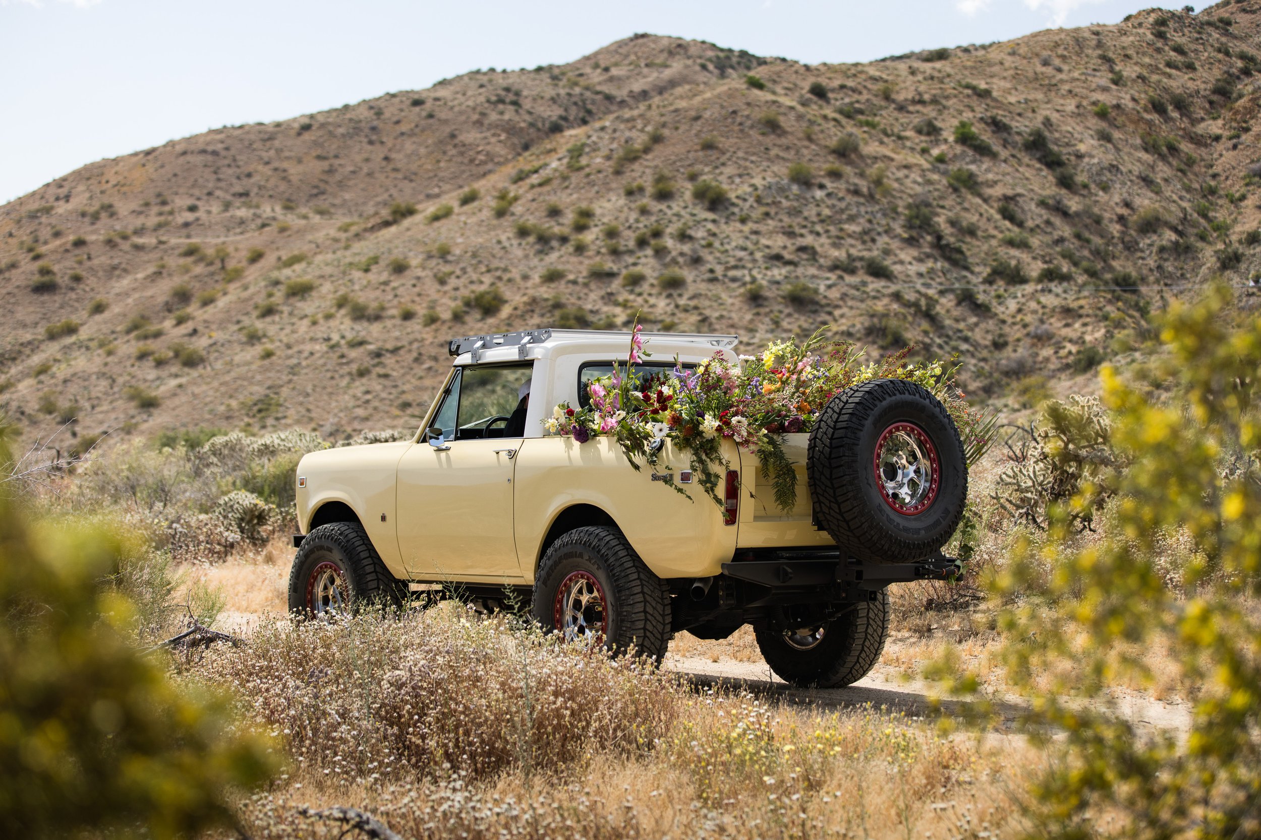 Tacodust International Scout II on KMC Beadlock Wheels - © Sam Dobbins 2023 - 8158.jpg