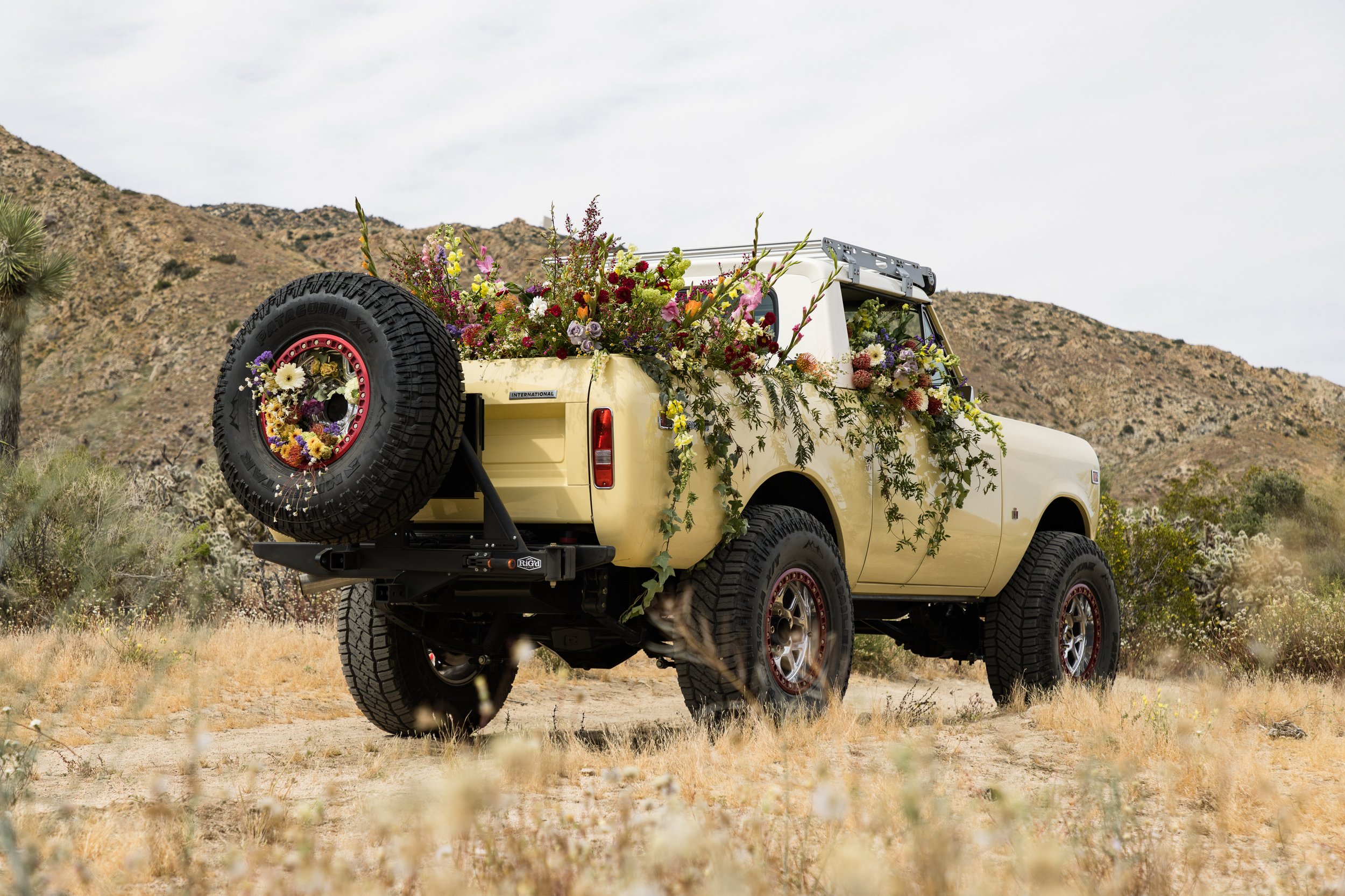 Tacodust International Scout II on KMC Beadlock Wheels - © Sam Dobbins 2023 - 8486.jpg