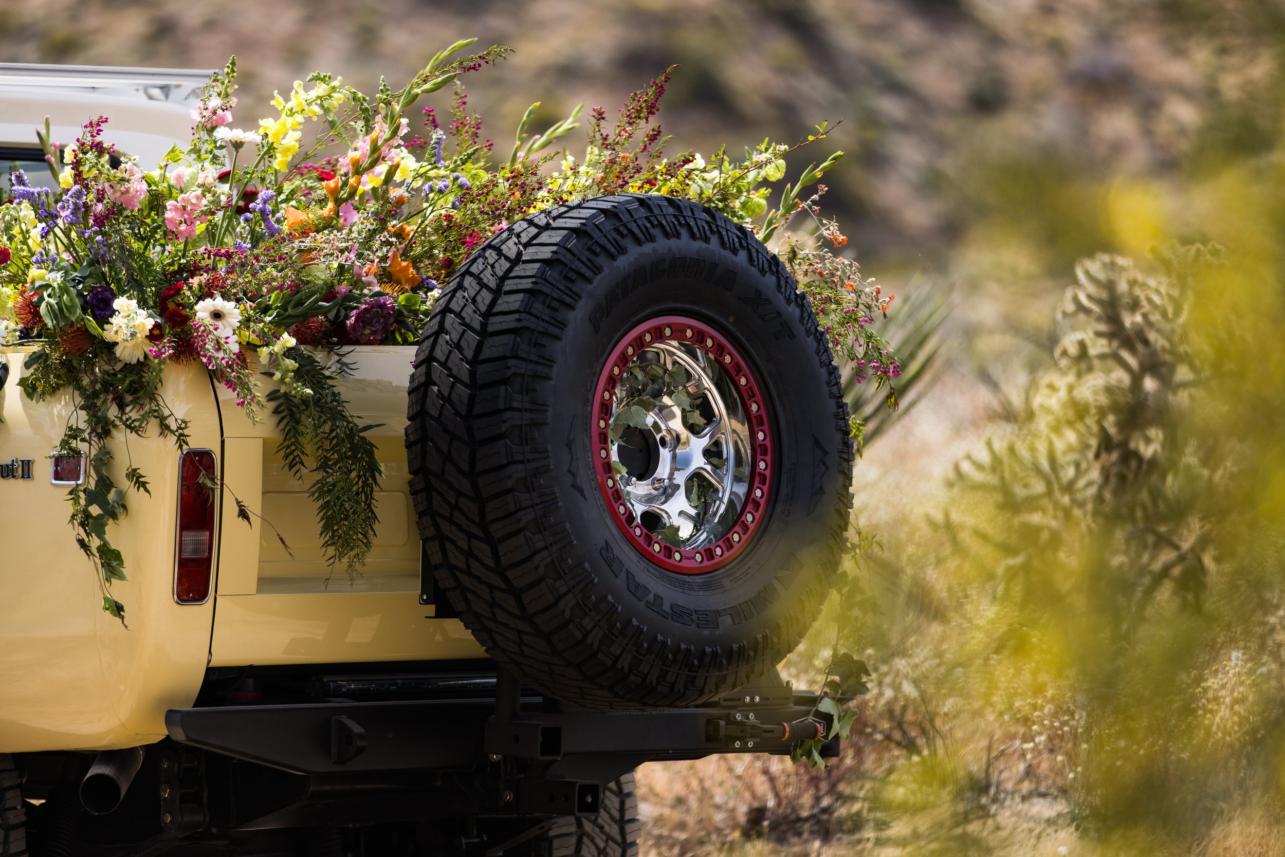 Tacodust International Scout II on KMC Beadlock Wheels - © Sam Dobbins 2023 - 8166.jpg