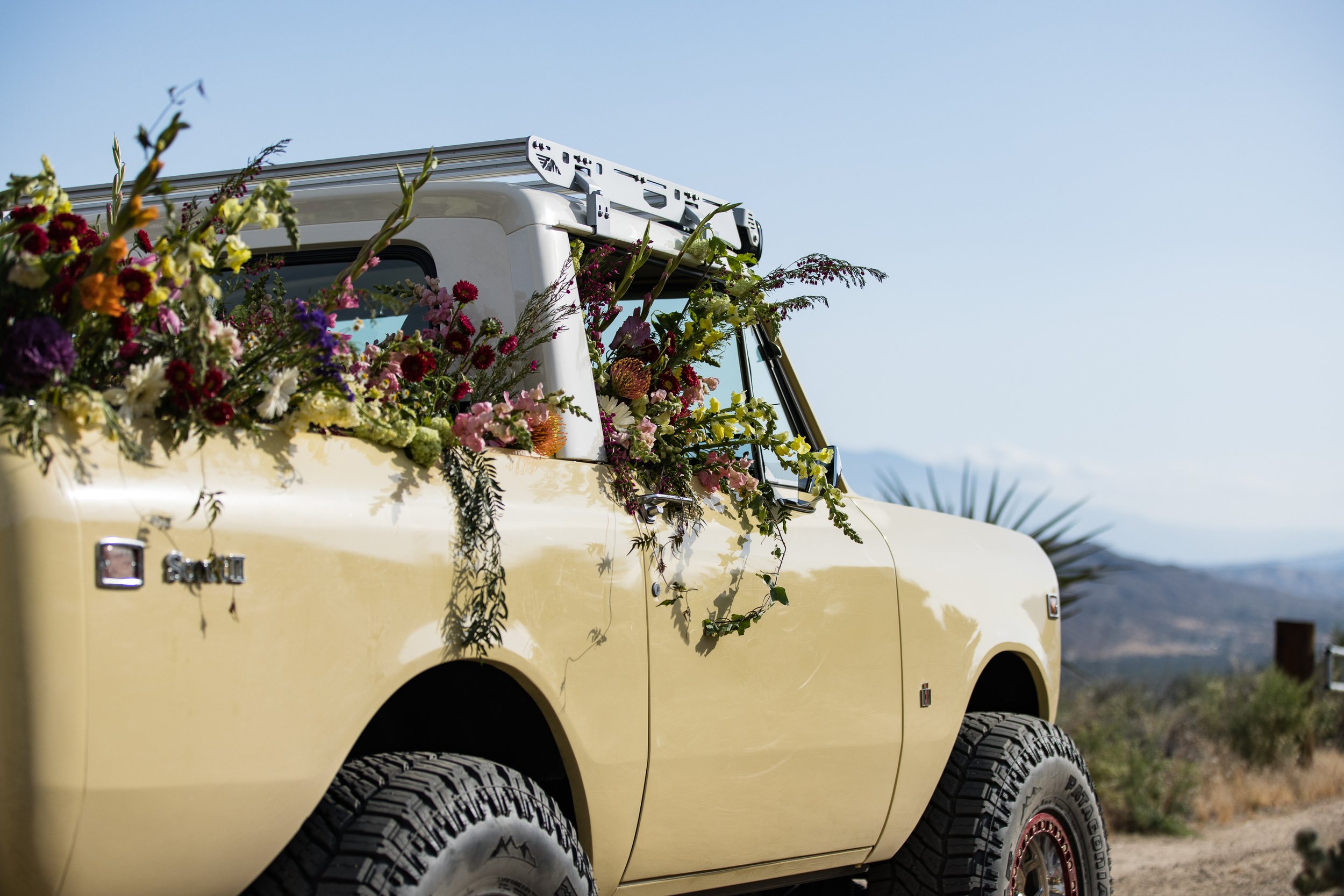 Tacodust International Scout II on KMC Beadlock Wheels - © Sam Dobbins 2023 - 9028.jpg