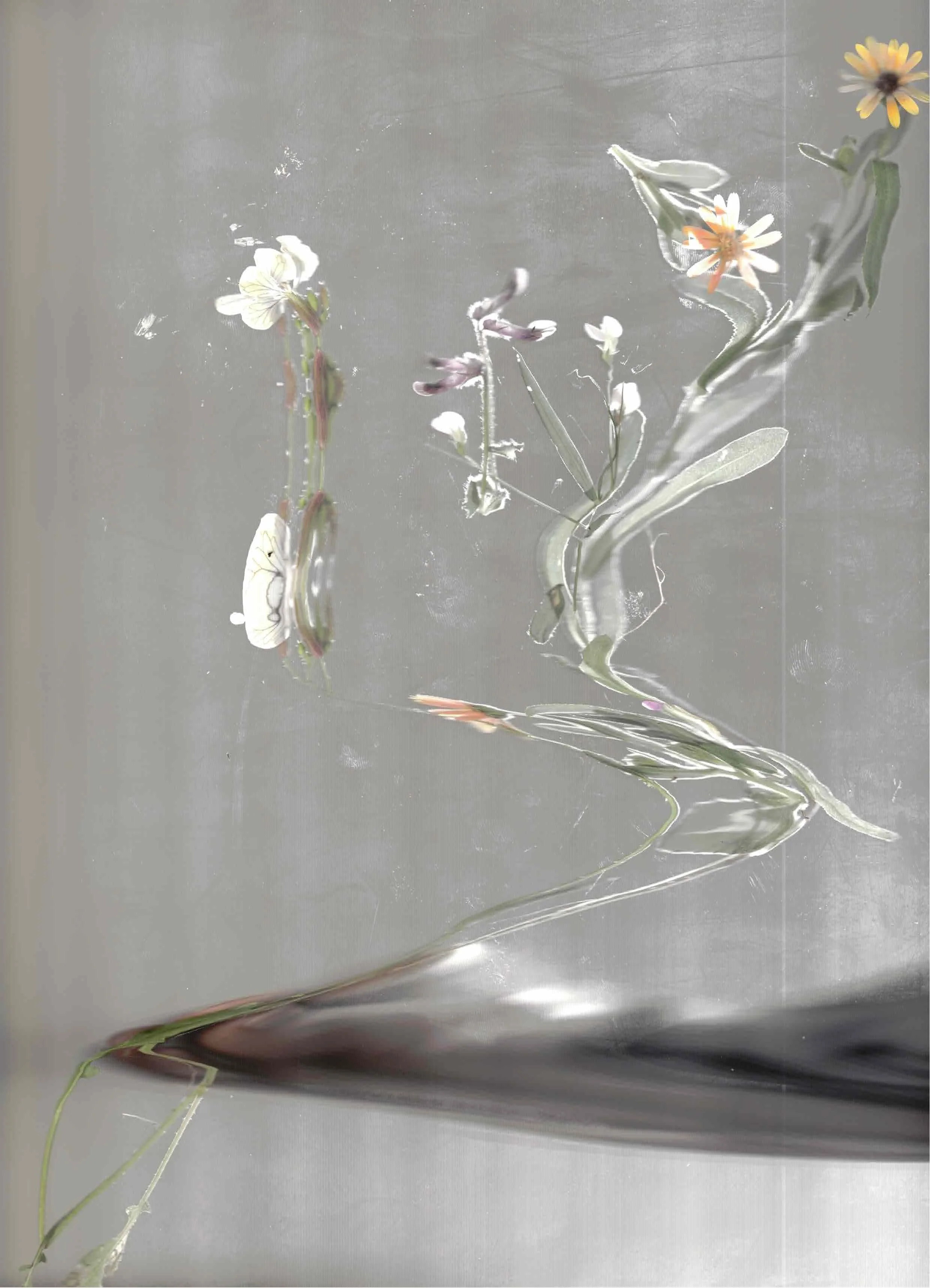 Escáner_20260131 (9).jpg