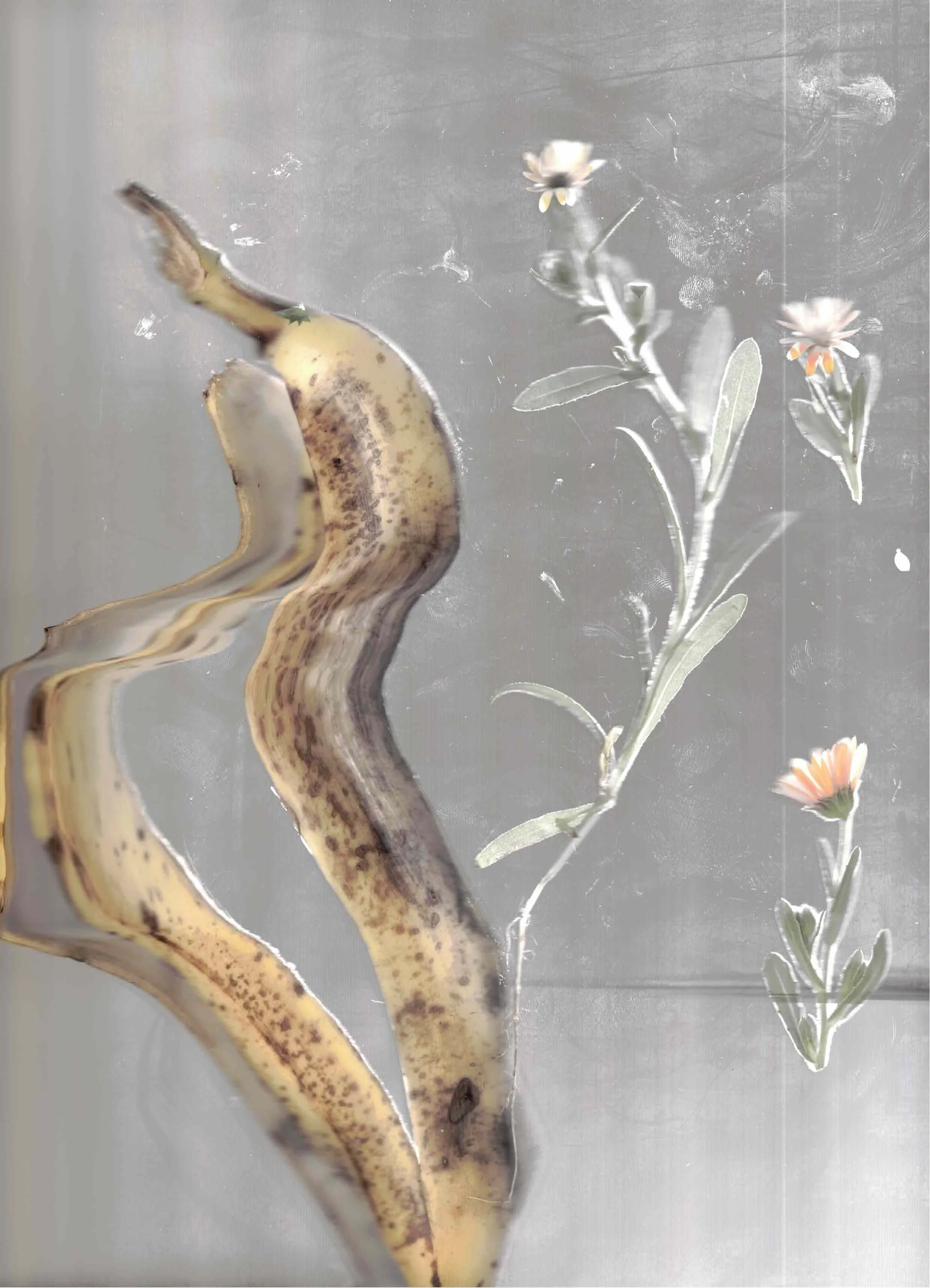 Escáner_20260131 (13).jpg