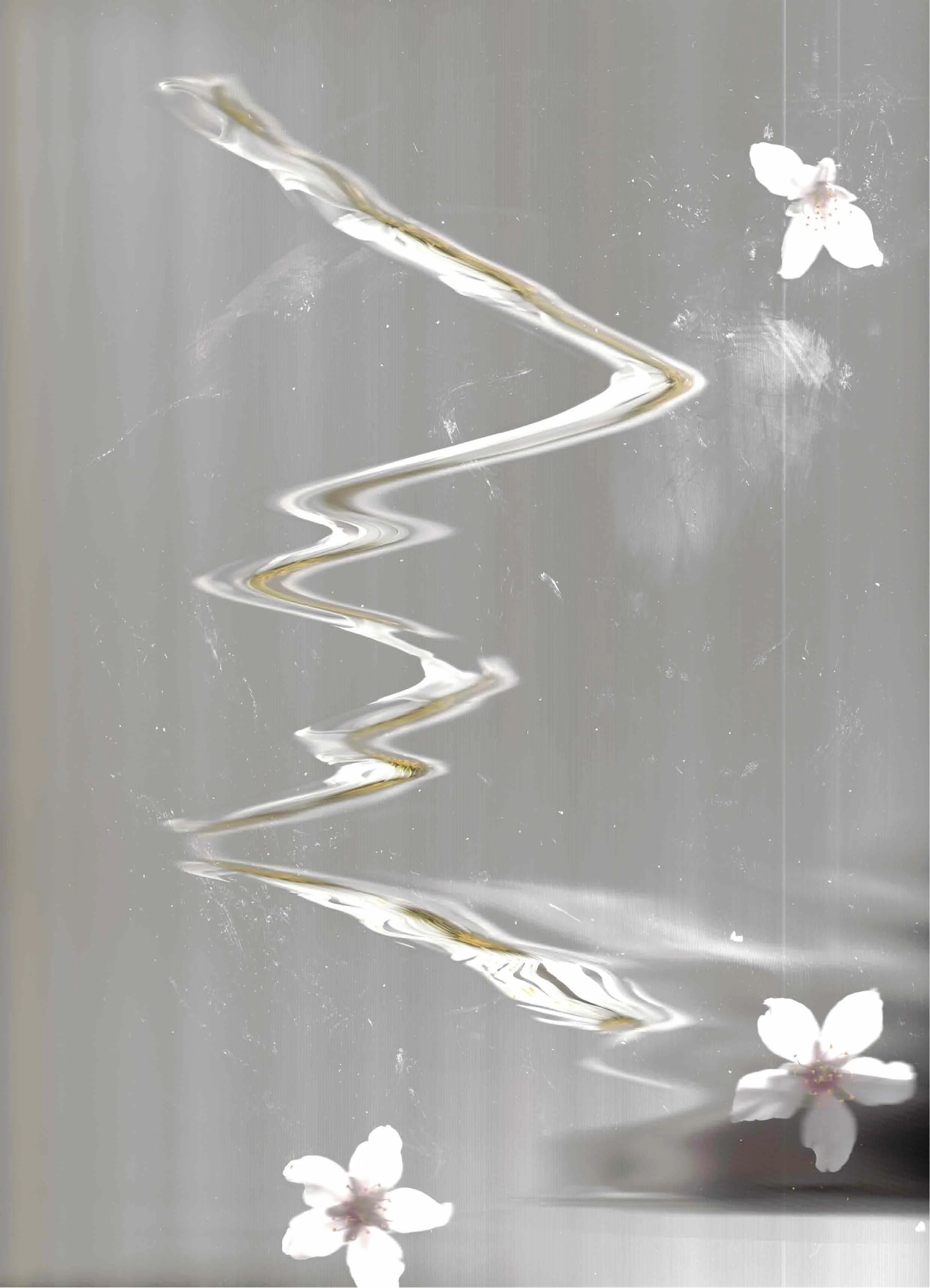 Escáner_20260201 (13).jpg