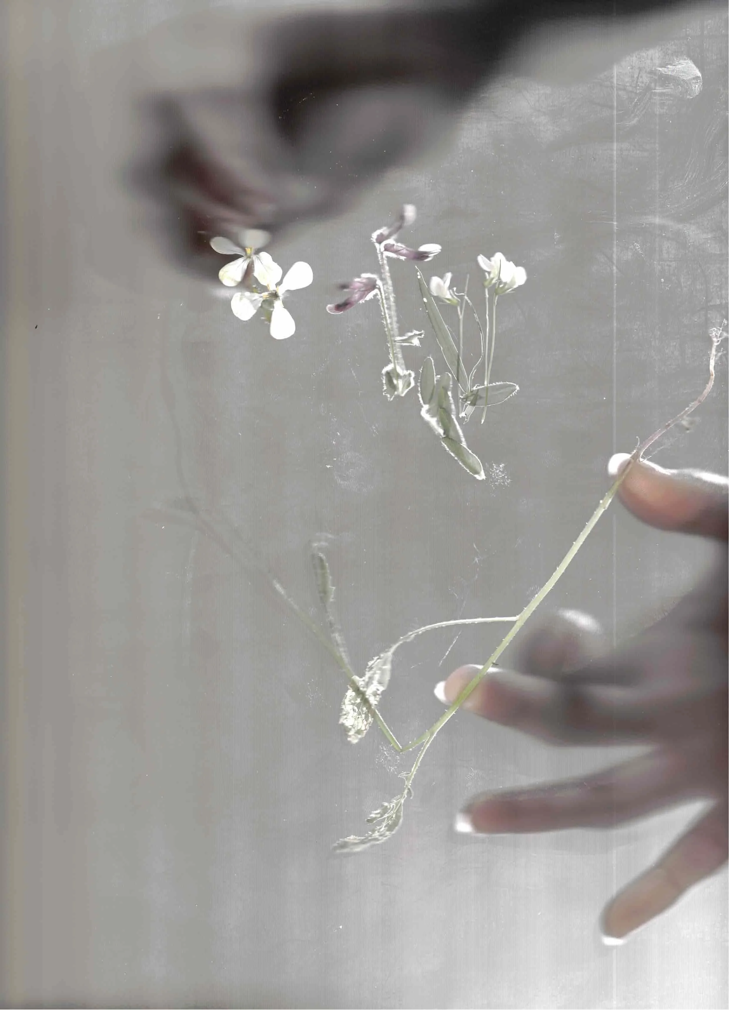 Escáner_20260131 (4).jpg