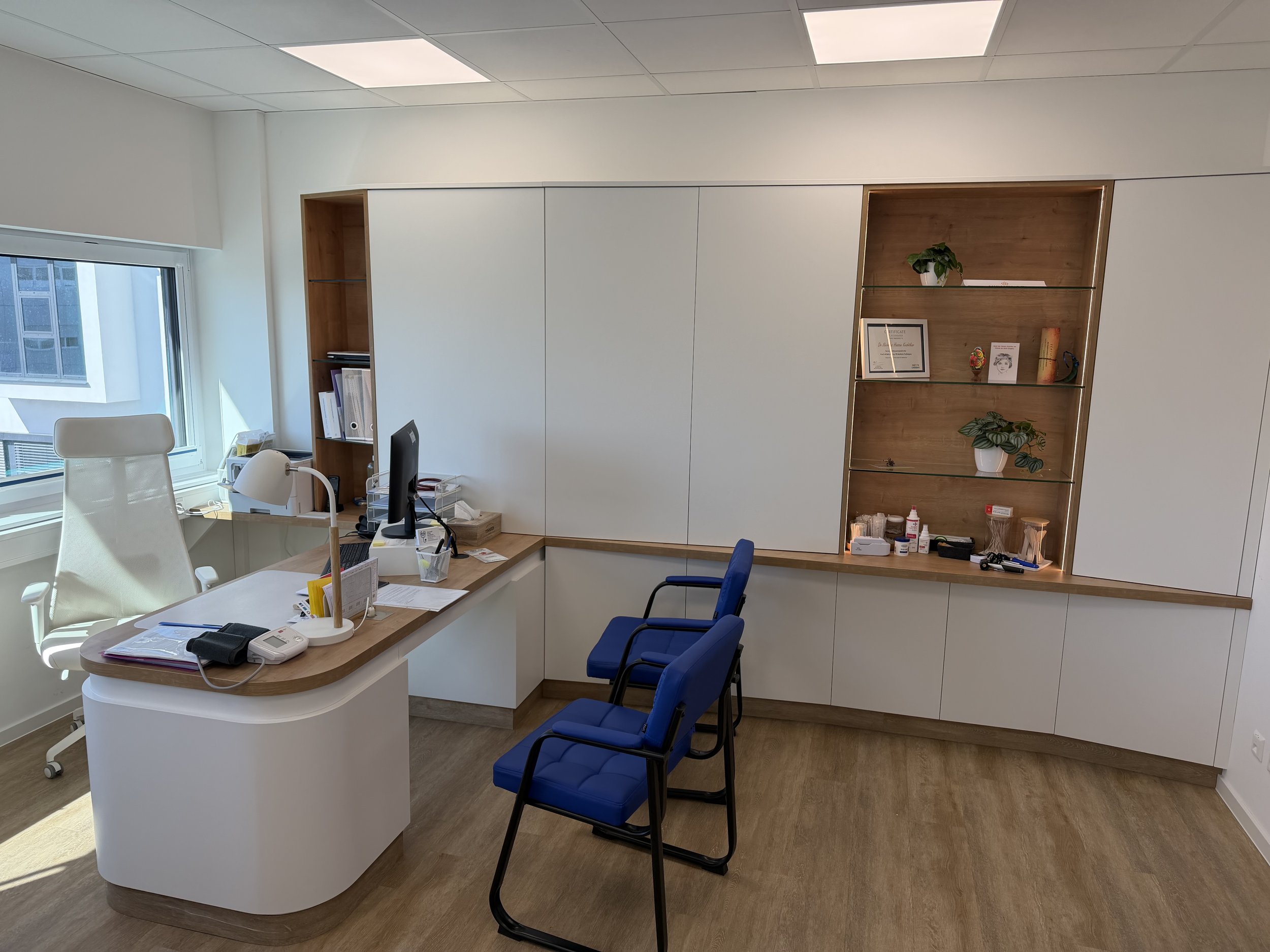 Ein Büro mit weißen Wänden, einem großen Fenster, einem weißen Schreibtisch mit Computer, Stiften und einigen Unterlagen, mehreren blauen Stühlen, einer Wandnische mit Pflanzen, Urkunden, Büchern und medizinischen Produkten.