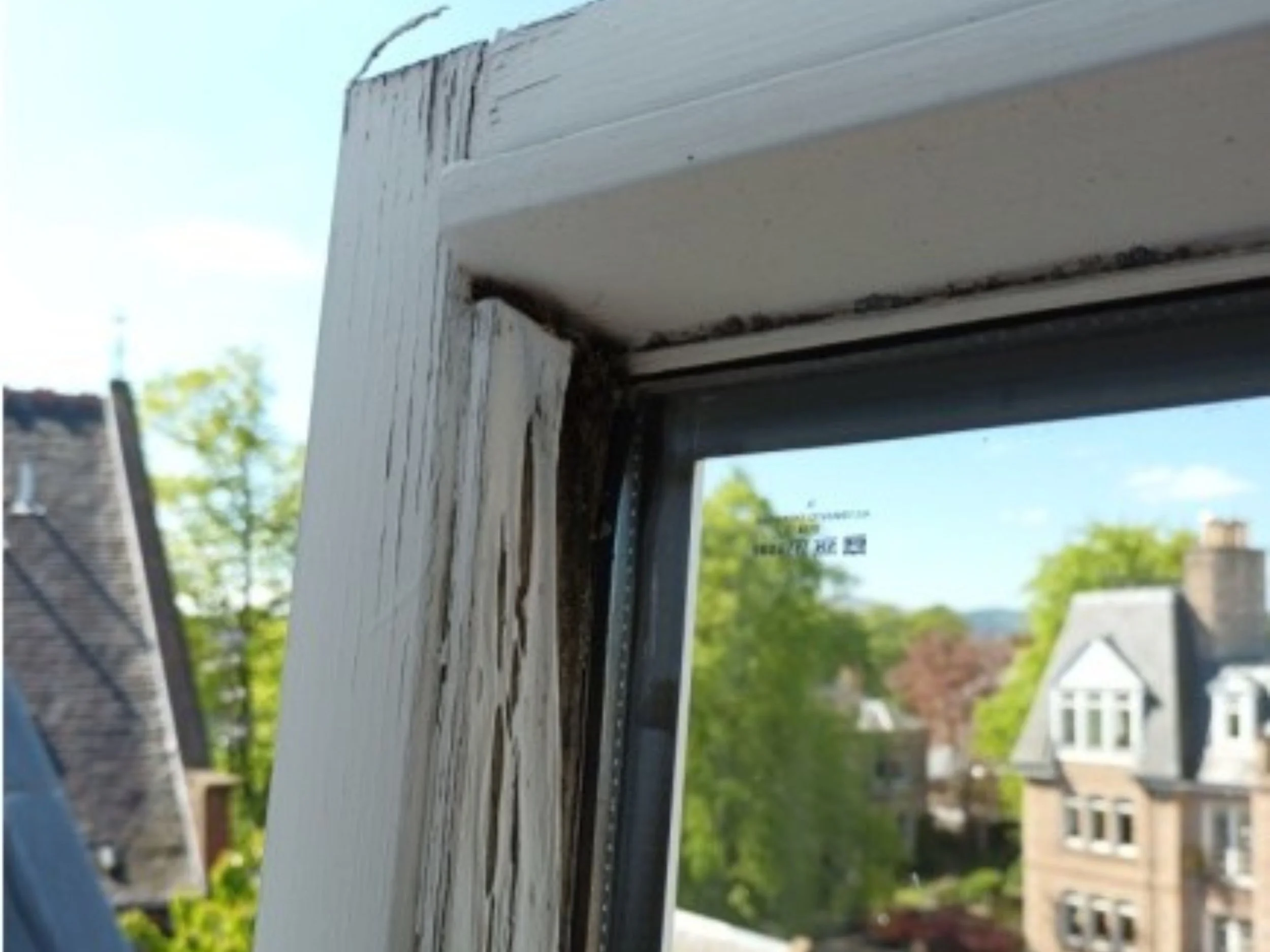 Flaked exterior paintwork.jpg