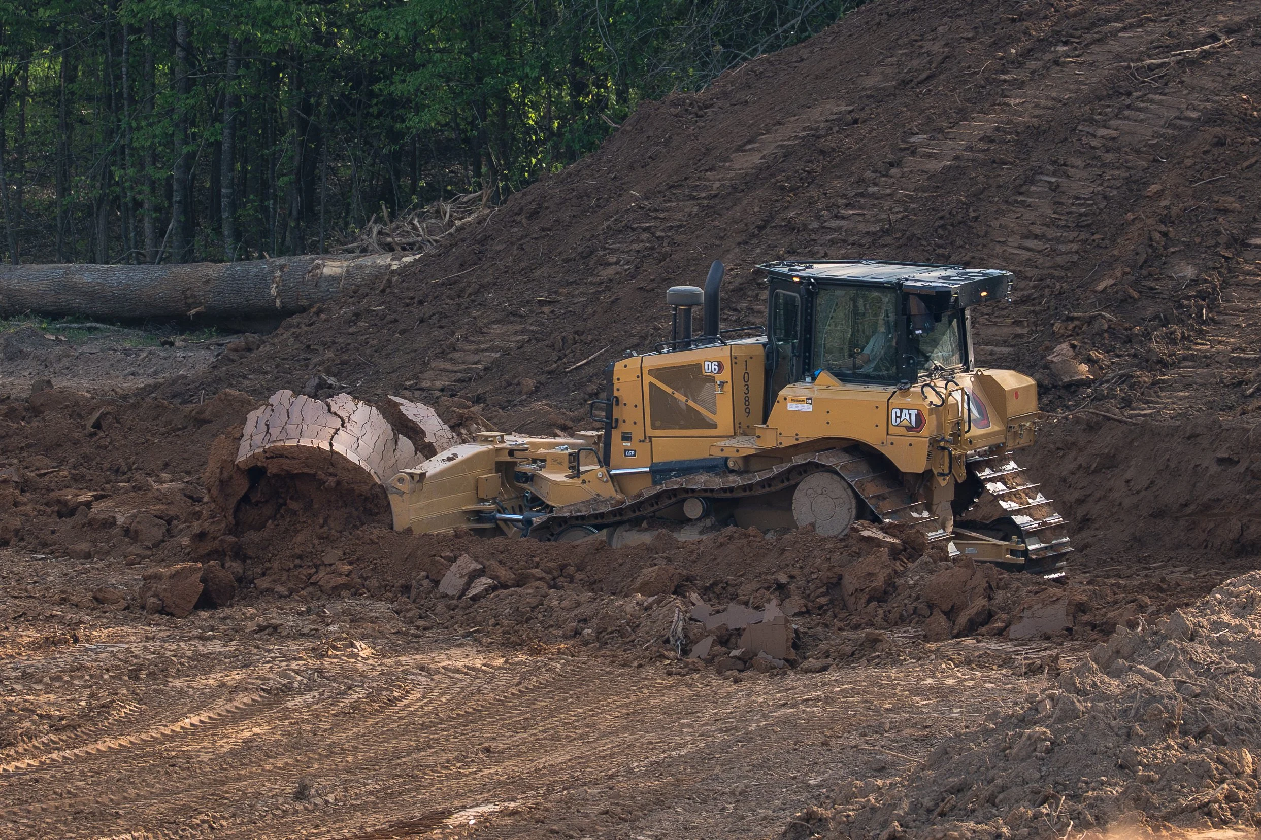 040826_nc_duck-56 (1).JPG