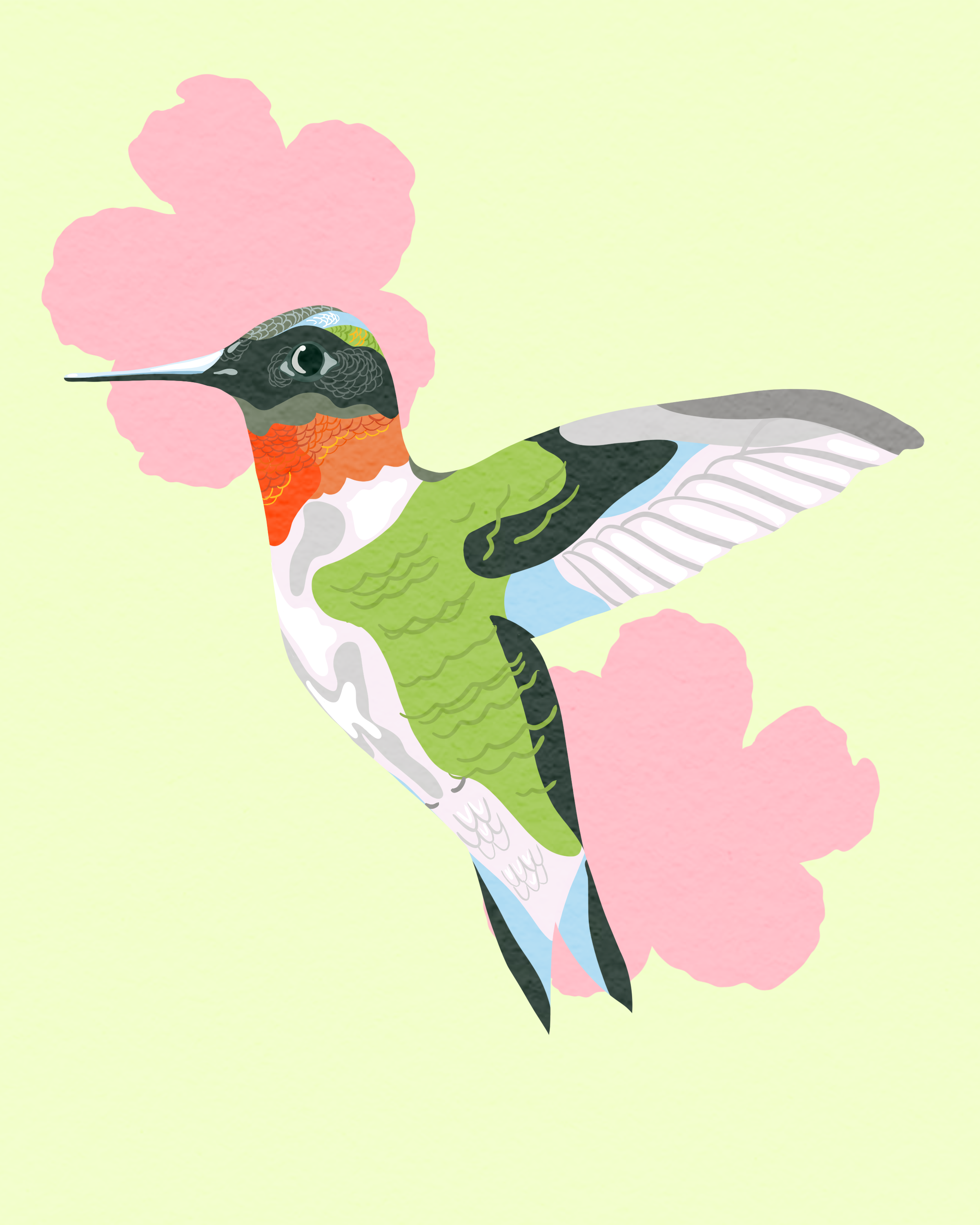 Summer Hummingbird