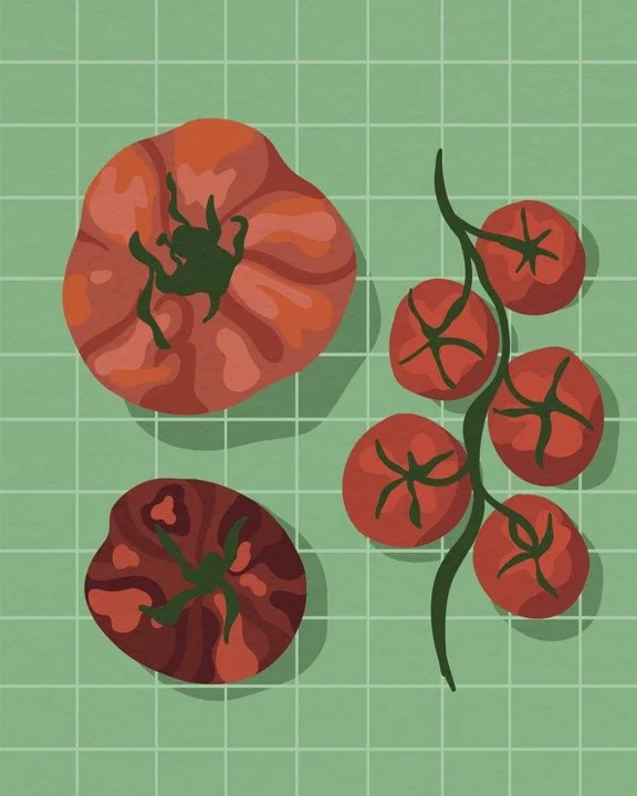 Summer Tomatoes