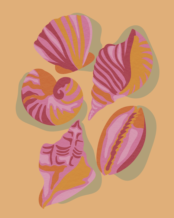 Pink Seashells