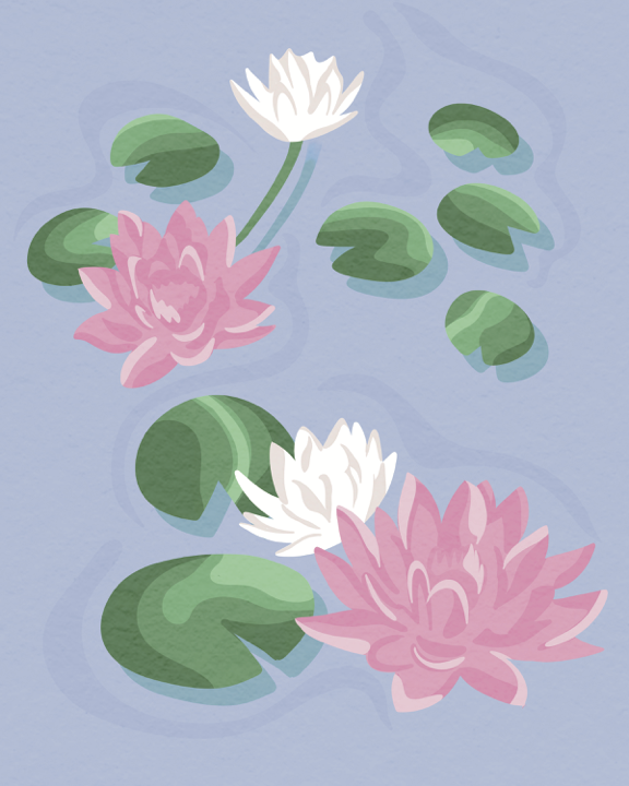 Water Lillies