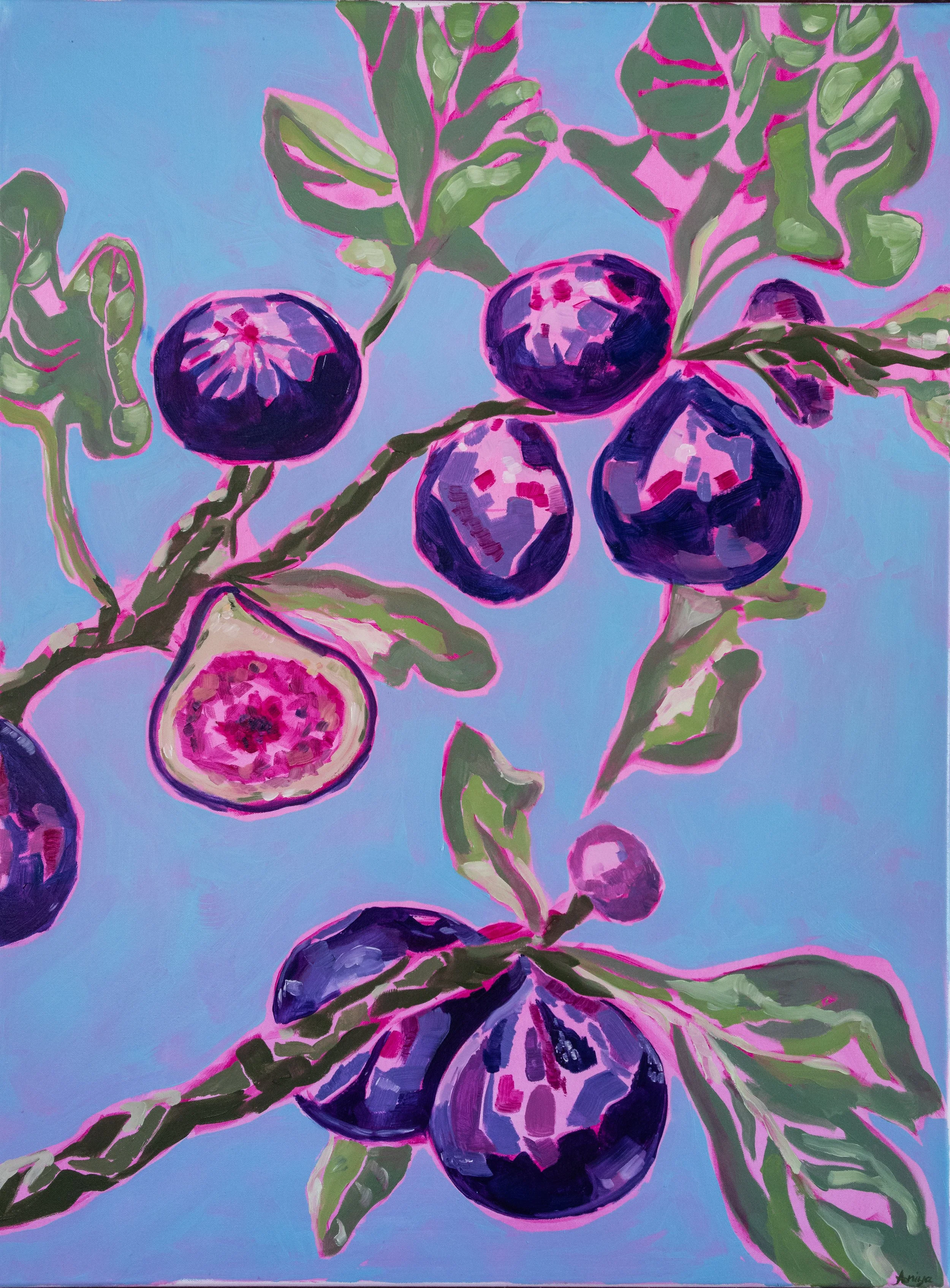 Fig Tree