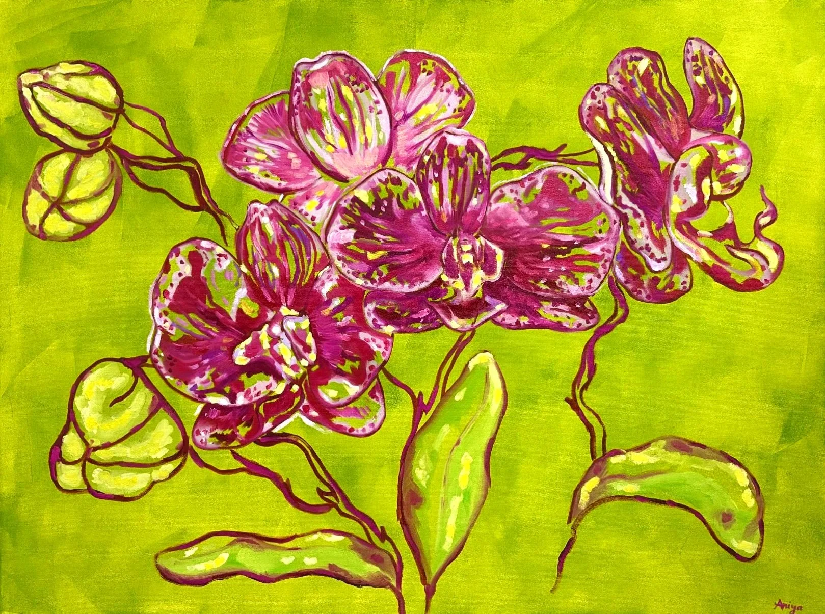 Untitled (Orchids)