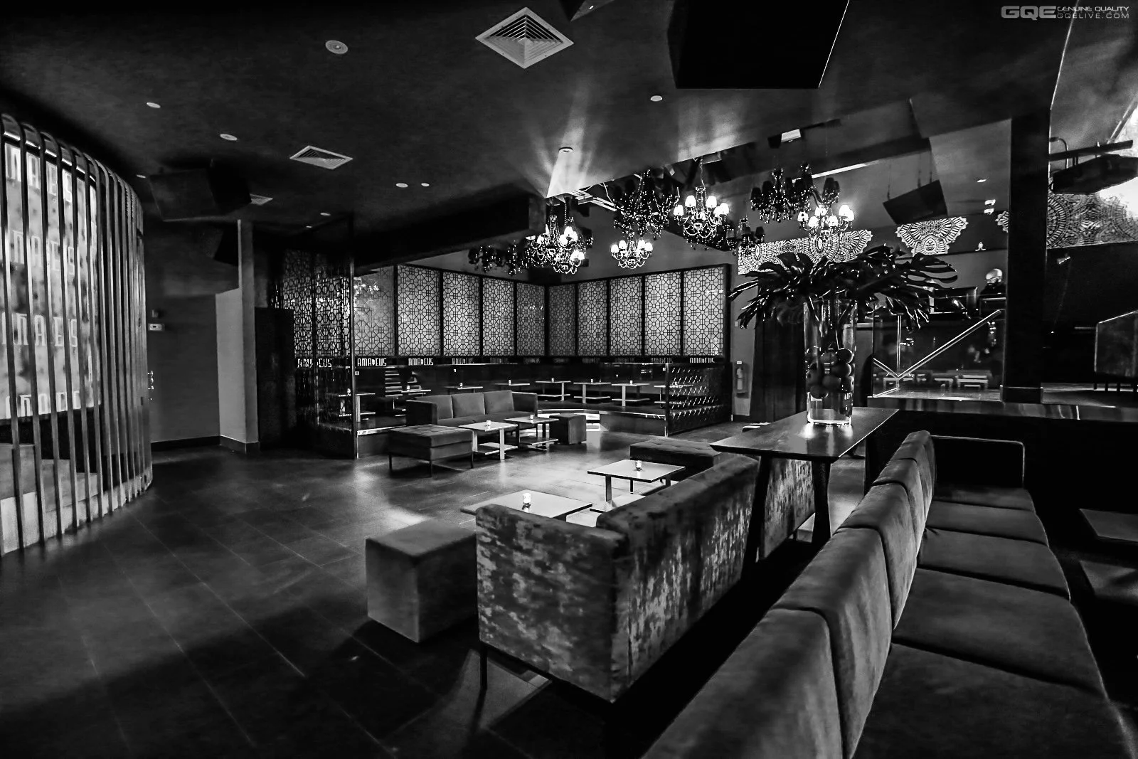 Amadeus Night Club, New York, USA