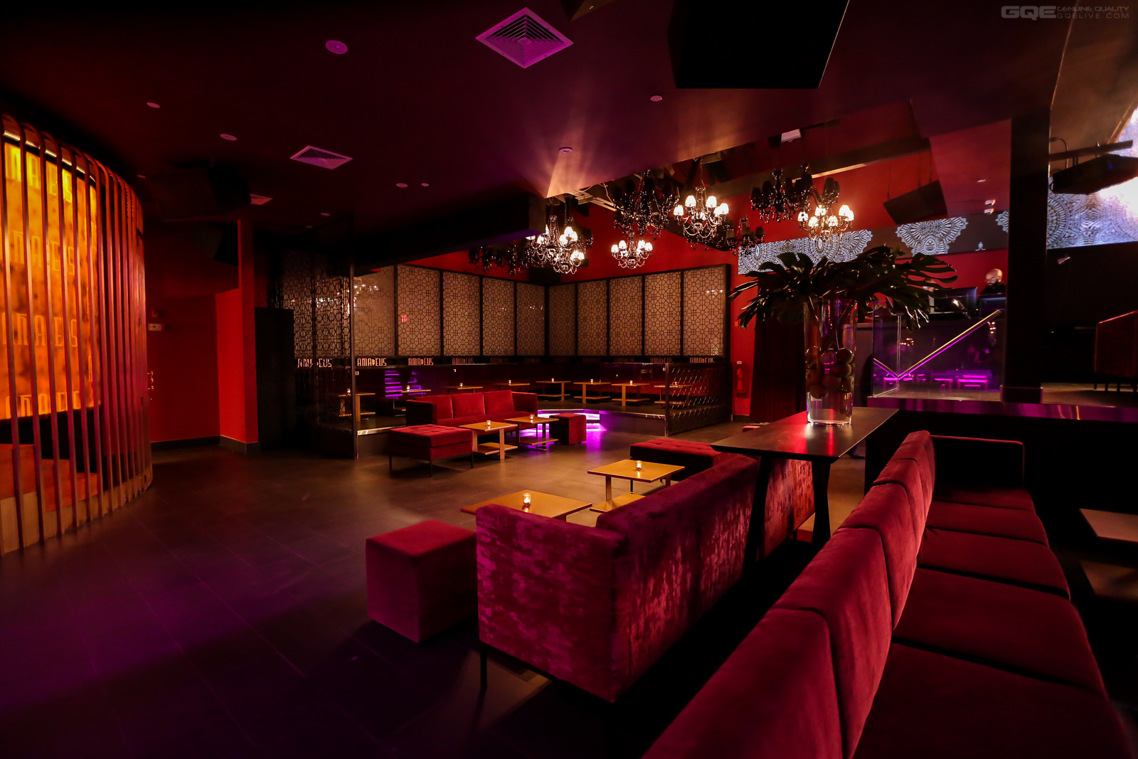 Amadeus Night Club, New York, USA