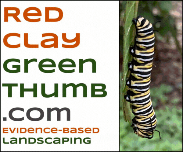 Clean. Quiet. Conscientious. Battery-electric lawn service. Sink carbon, restore habitat, rest easy. Red Clay Green Thumb.