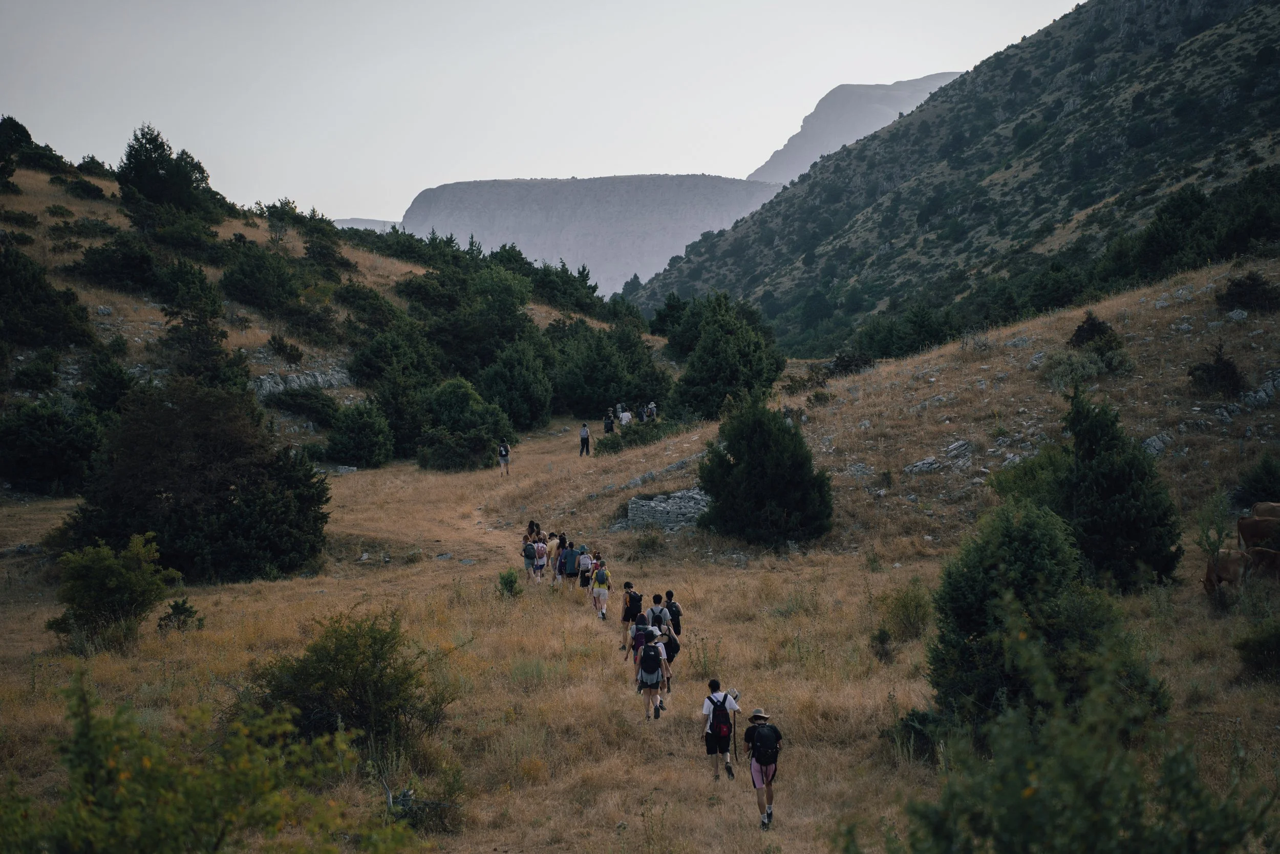 The Walk