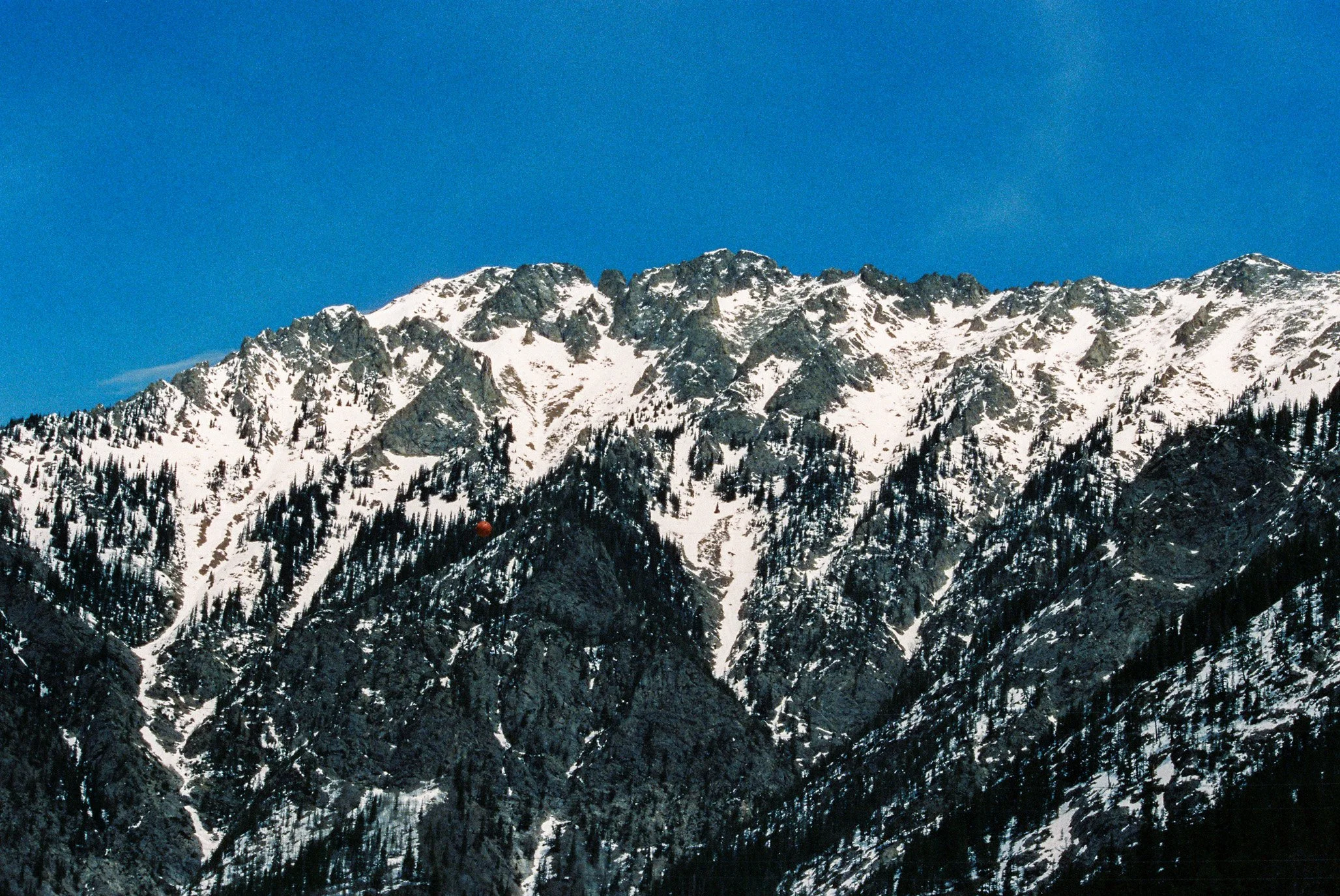 w047376003117-R1-009.jpg