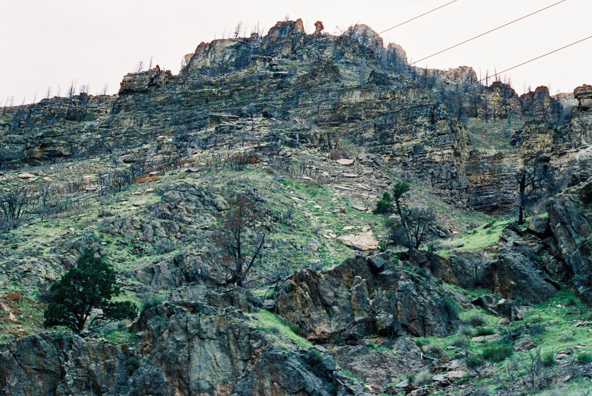 w047376003117-R1-011.jpg