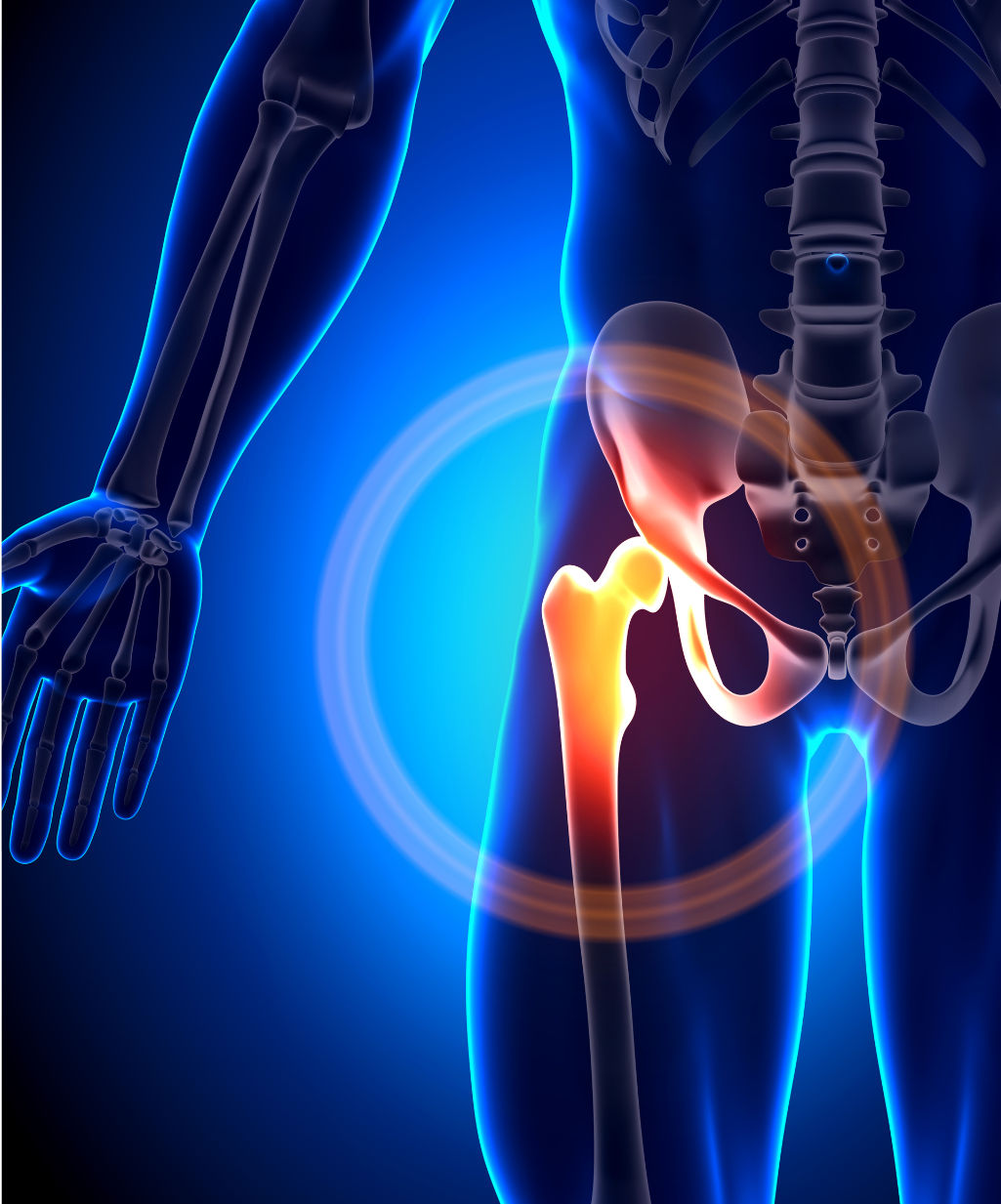 Hip Mobility & Stability with Leah