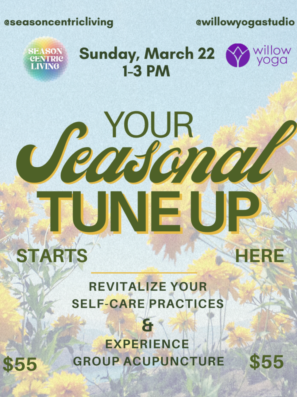Seasonal Tune Up: Transition into Spring 