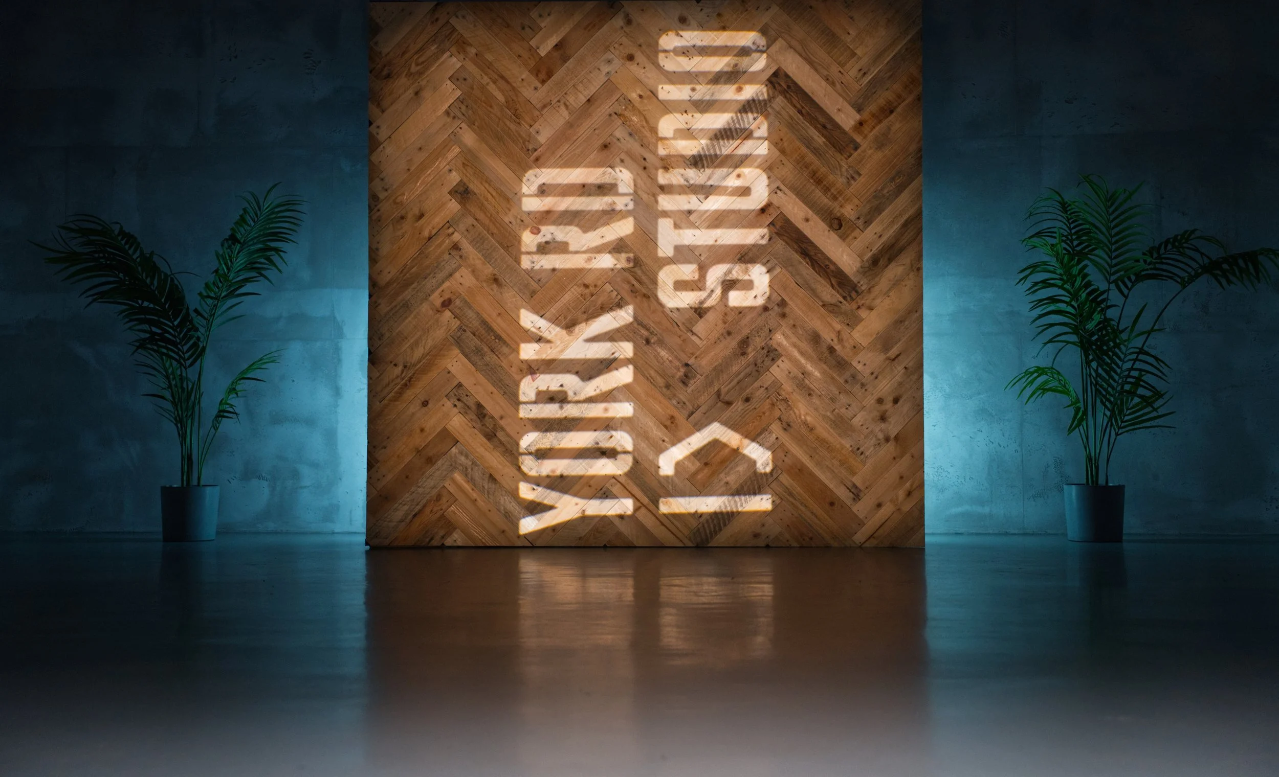 Interior of a room with a wooden wall, illuminated shadows forming the words 'COFFEE & CO'. Two potted green plants are placed on either side of the wall, against a blue wall background.