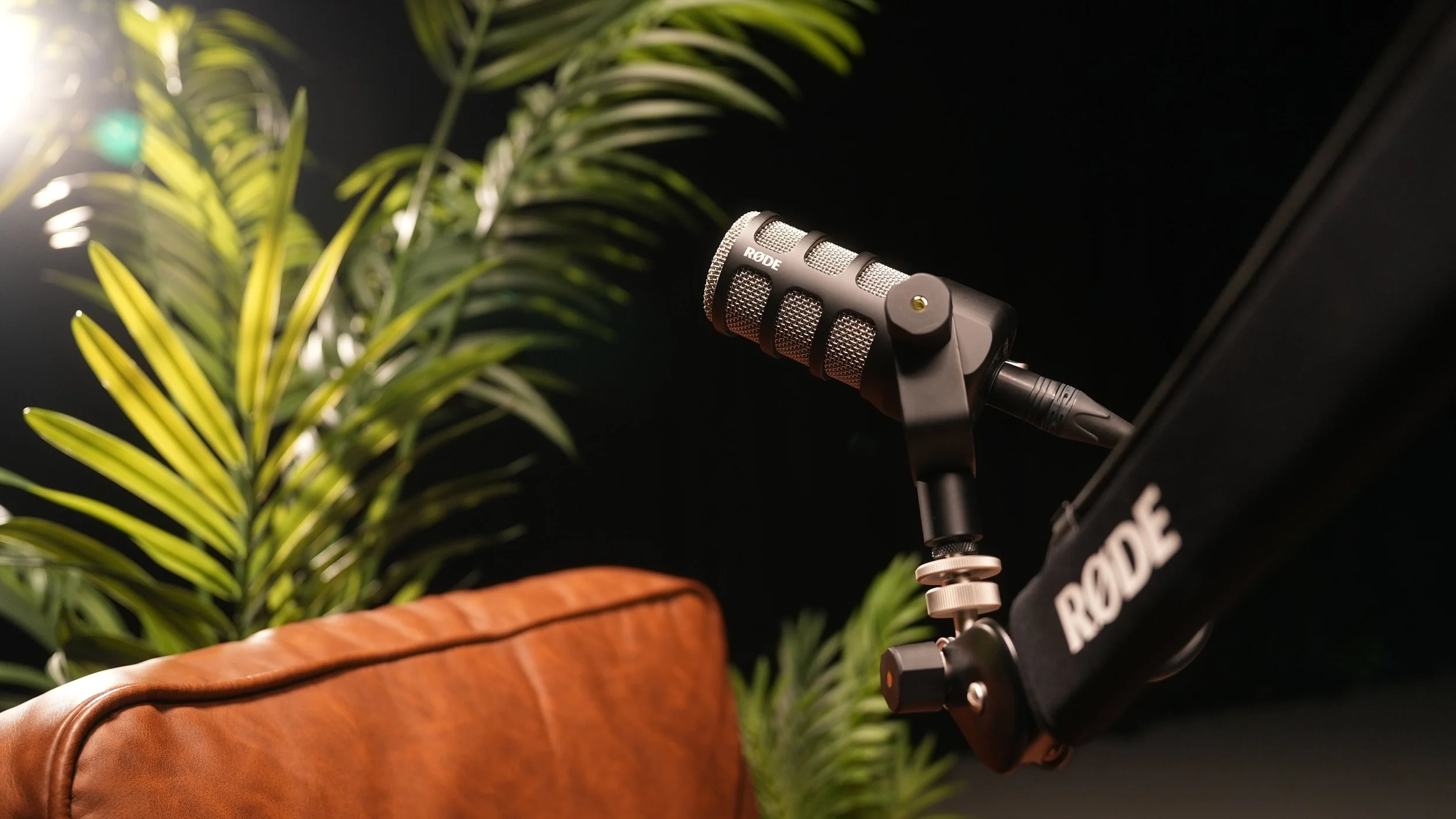A microphone on a stand with a black background, a potted plant, and part of a leather chair.