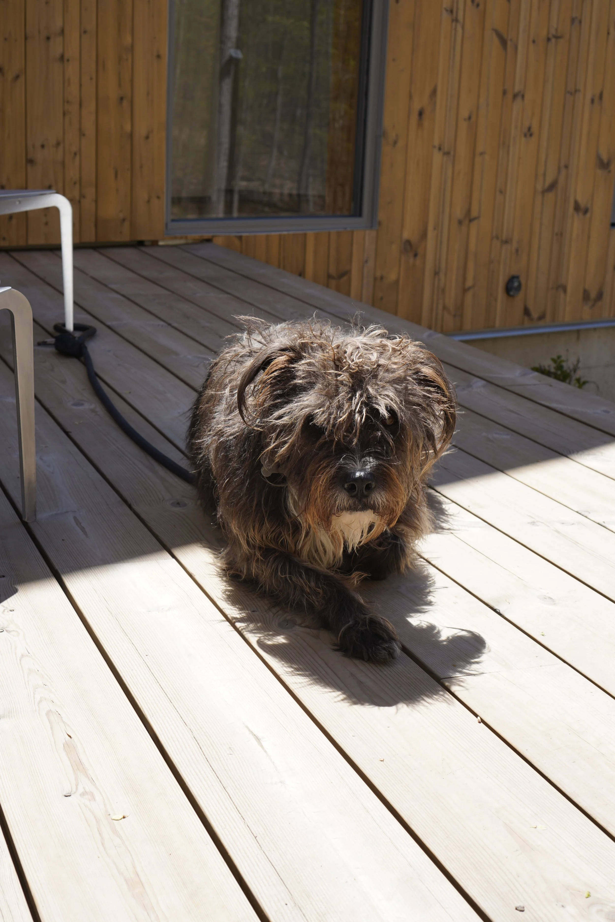 _DSC0905.jpeg
