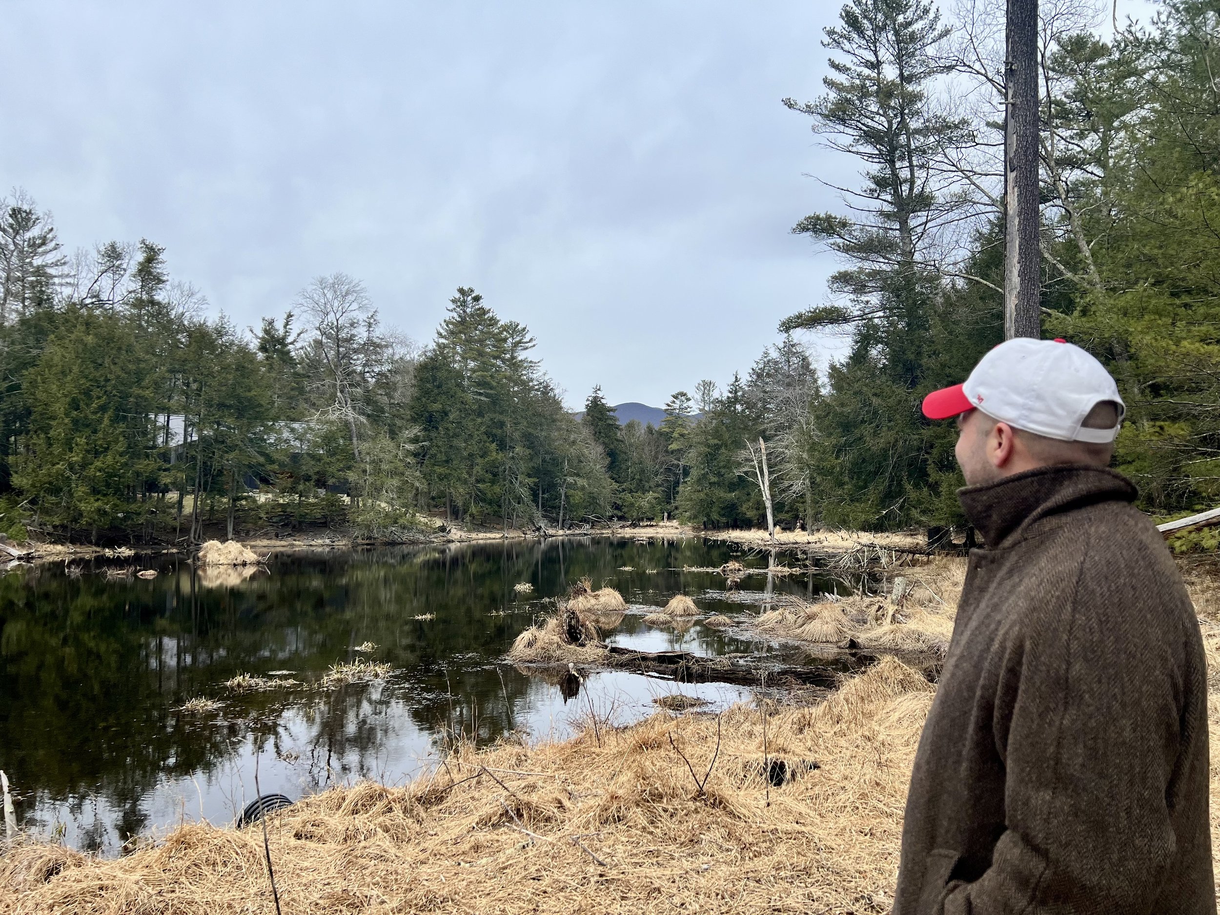 The pond at Olive Passive House