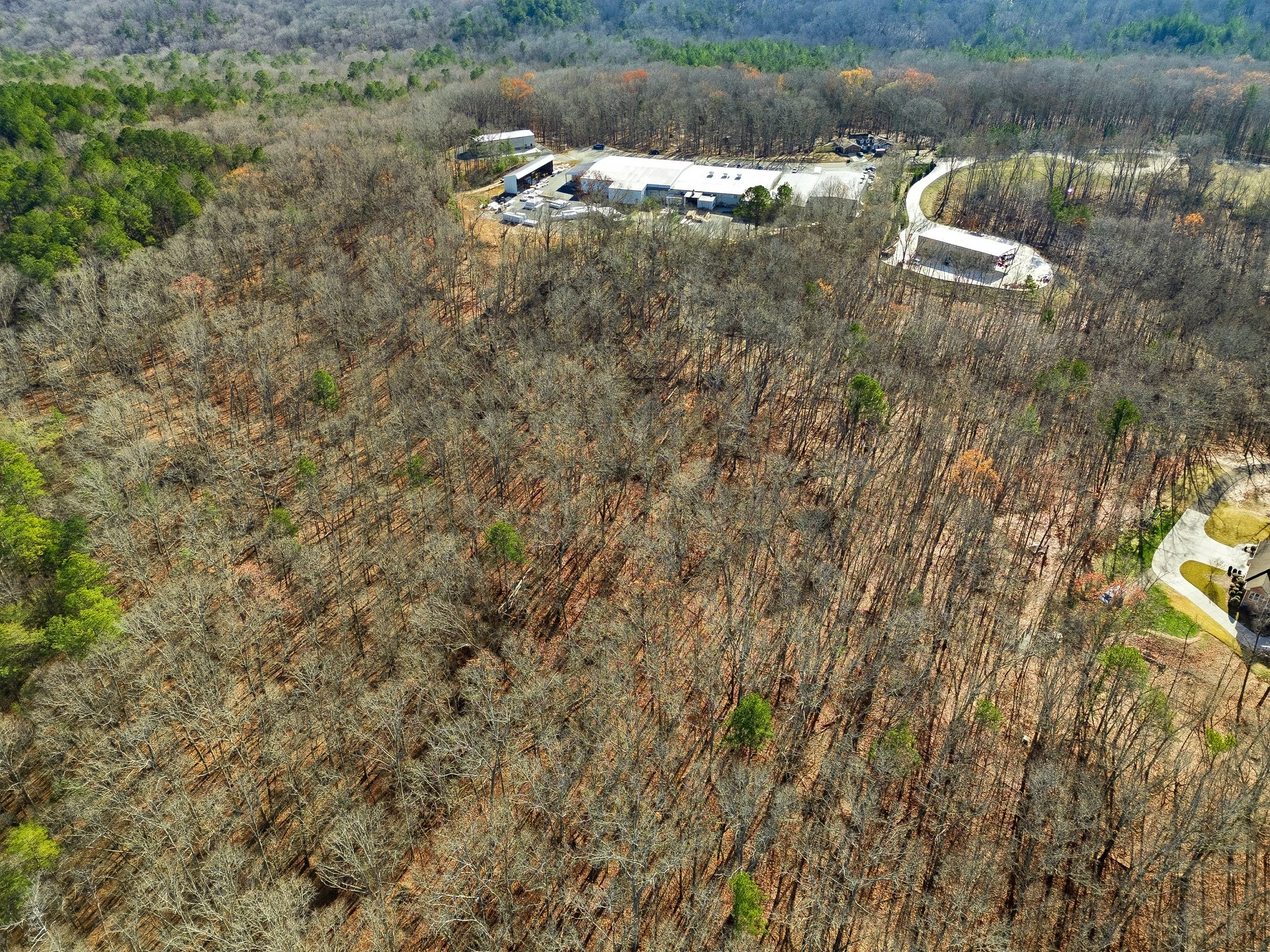 004 - hogan pond ln ball ground ga.jpg