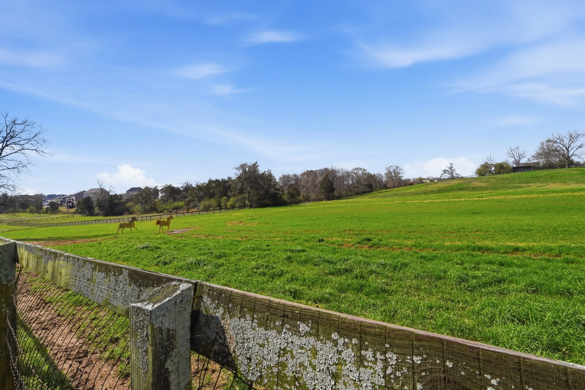 28-028 - 3980 Georgia 138-Covington GA.jpg