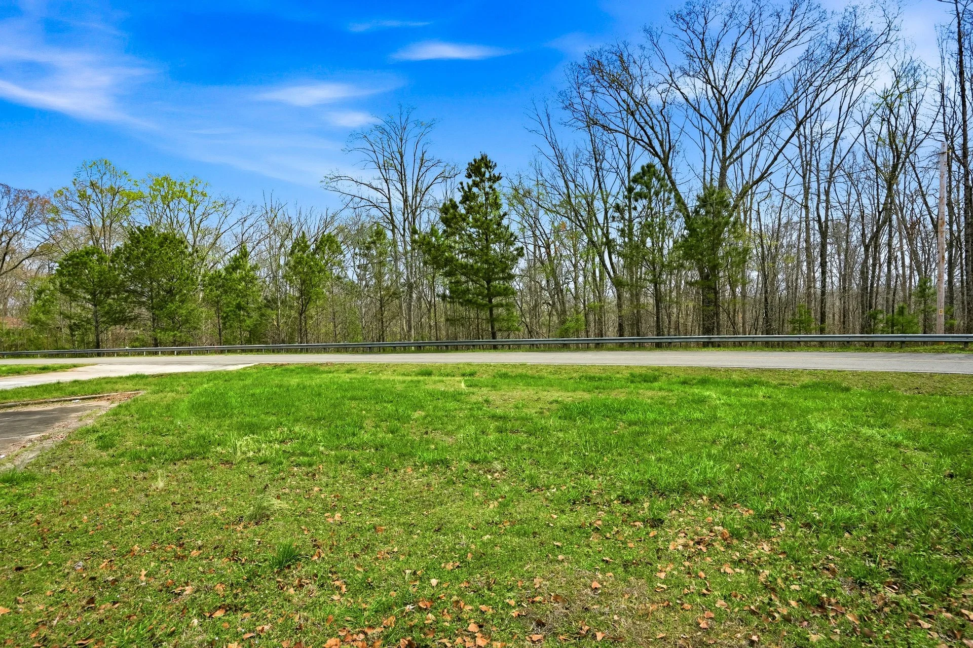 11-011 - 211 Hogan Pond Lane Ball Ground GA.jpg