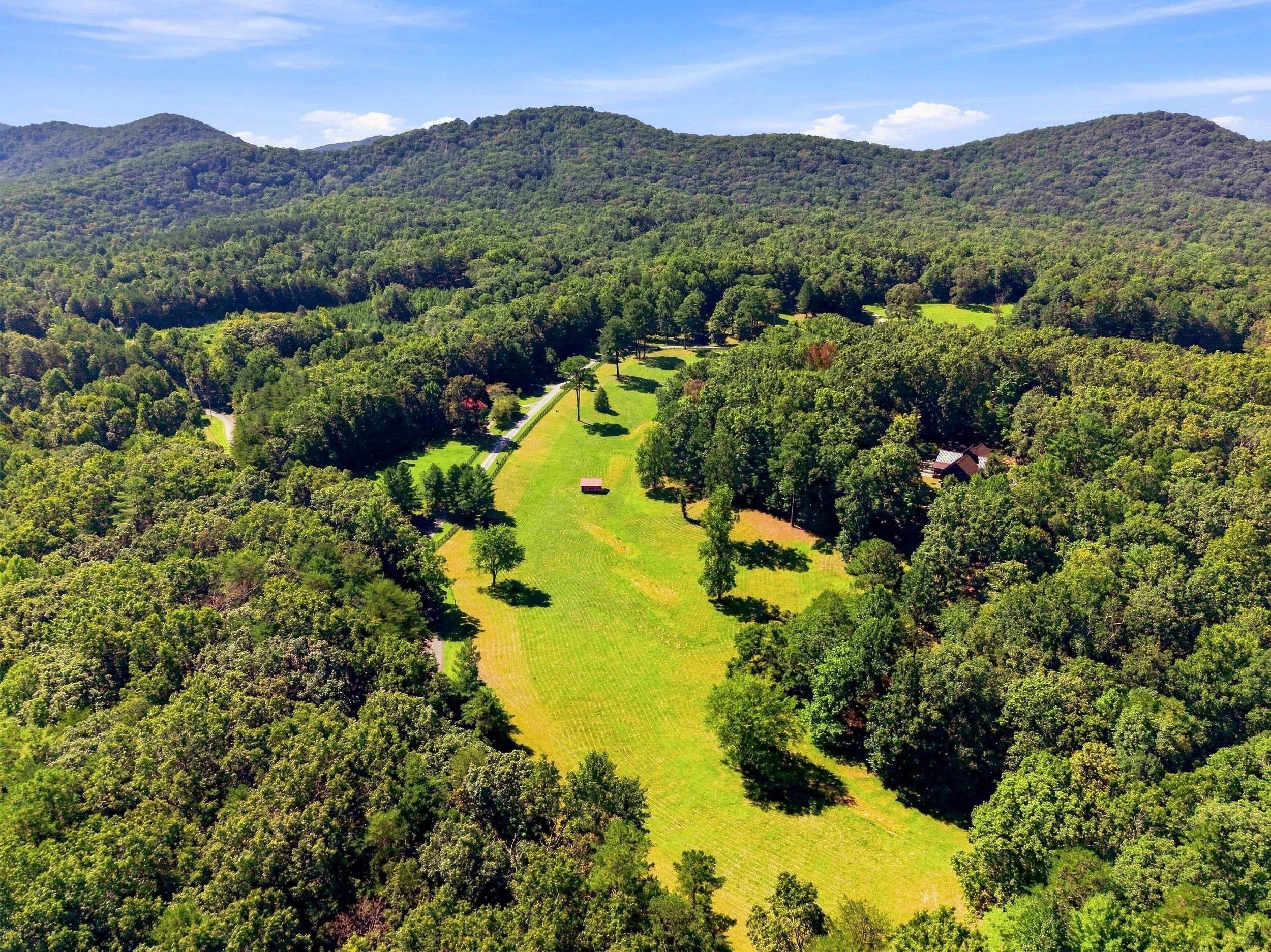 09-009-89 Spring Camp Road Ellijay GA No Lot Lines.jpg
