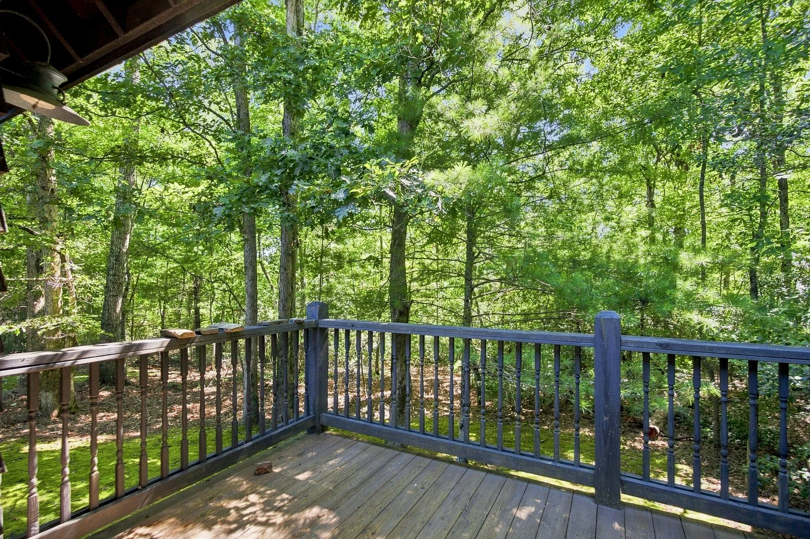 11-011 - 89 Spring Camp Road Ellijay GA.jpg