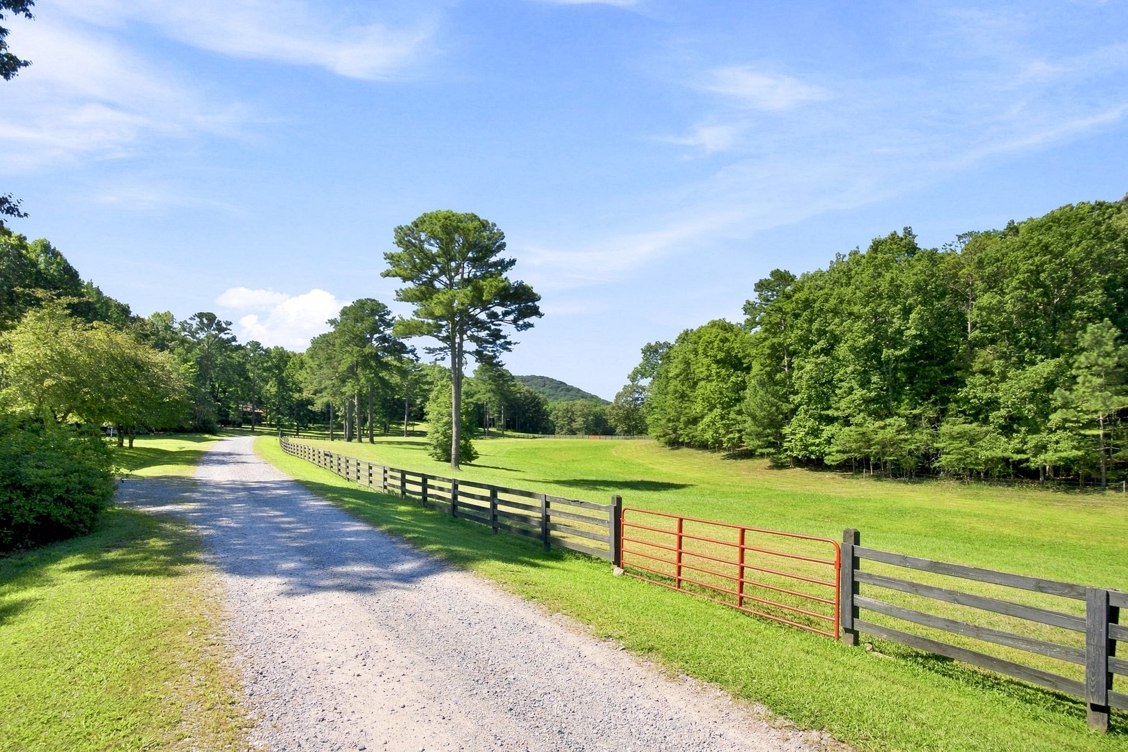 16-016 - 89 Spring Camp Road Ellijay GA.jpg