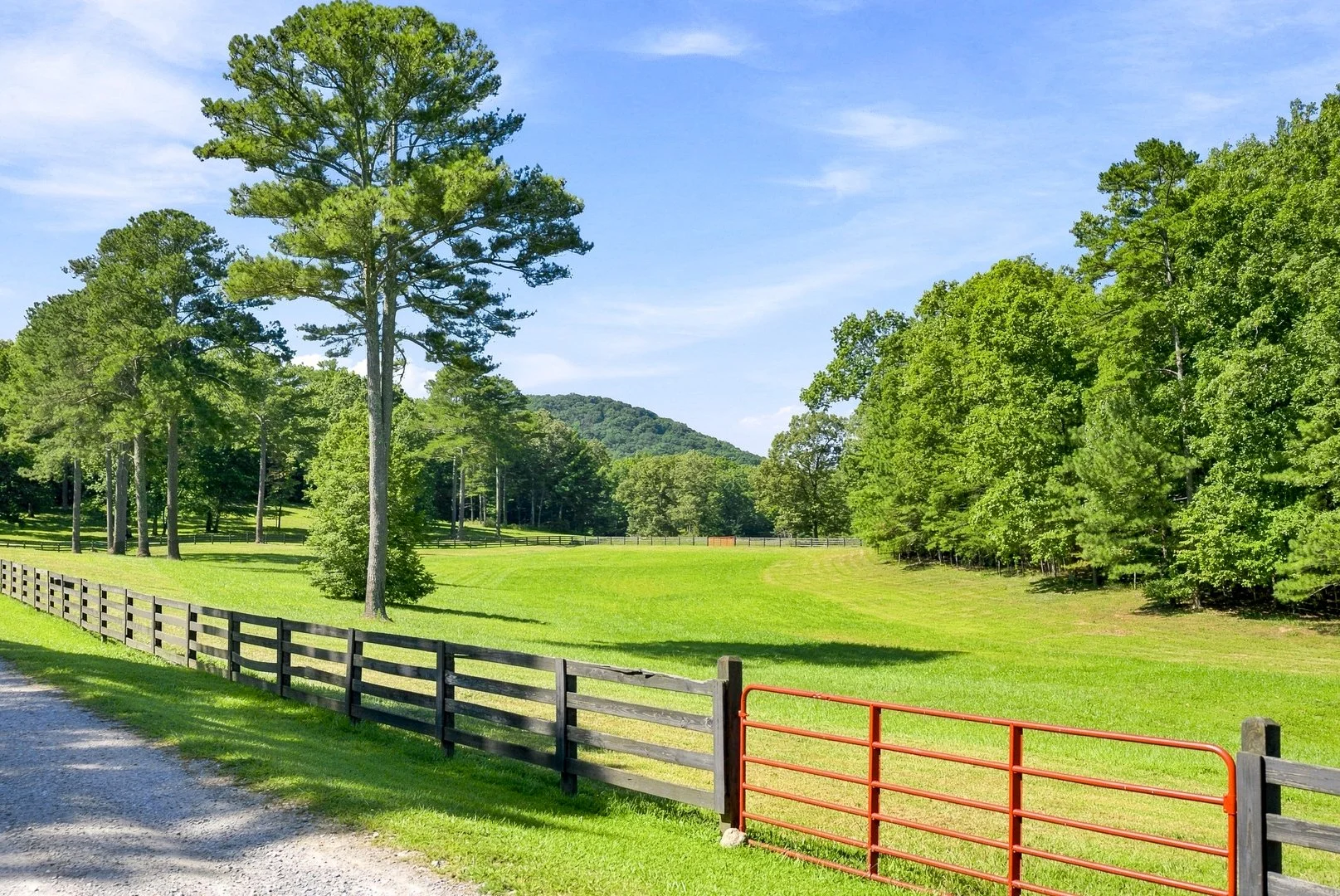 17-017 - 89 Spring Camp Road Ellijay GA.jpg