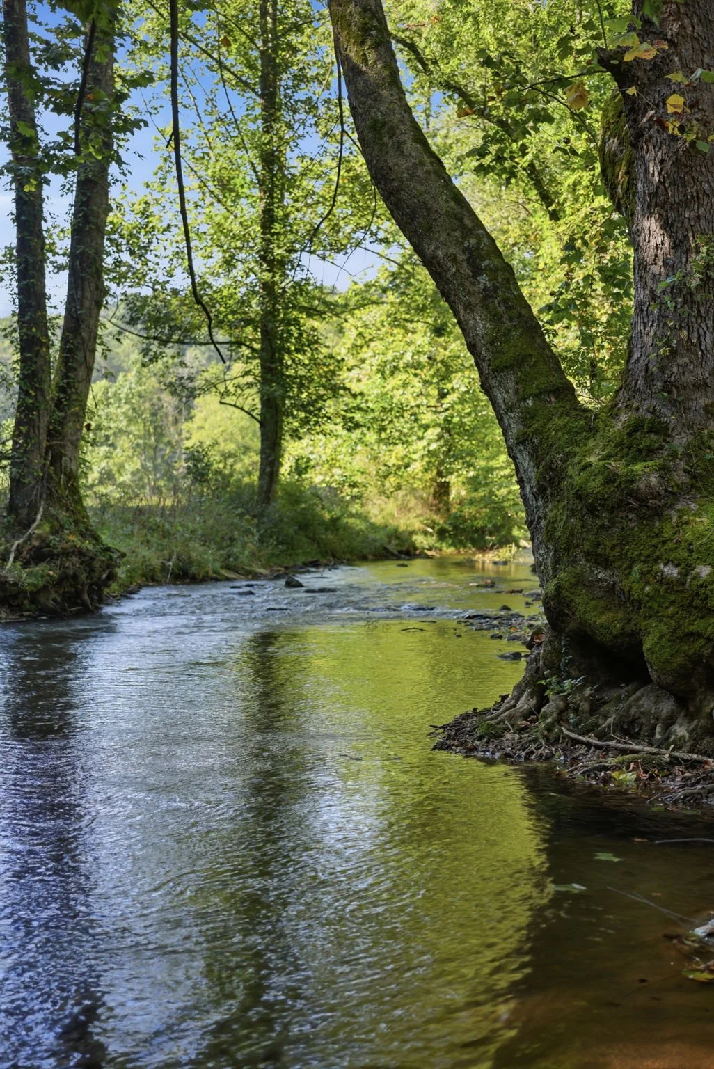 Gaddistown on the Toccoa