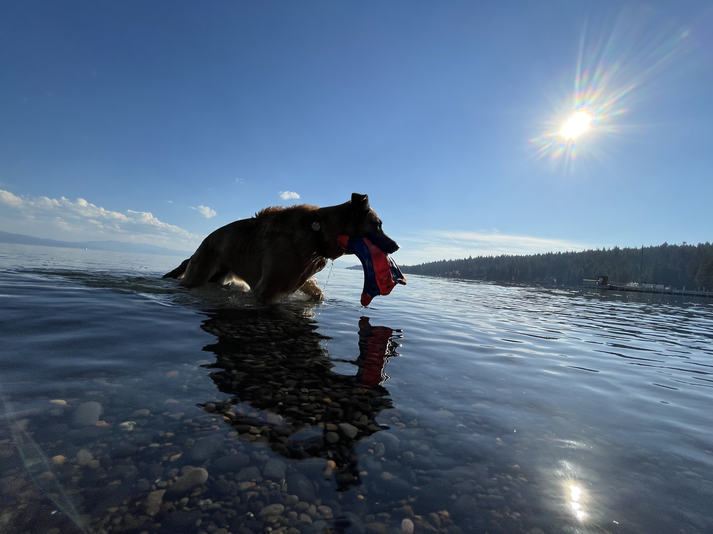 Gallery Lake Tahoe