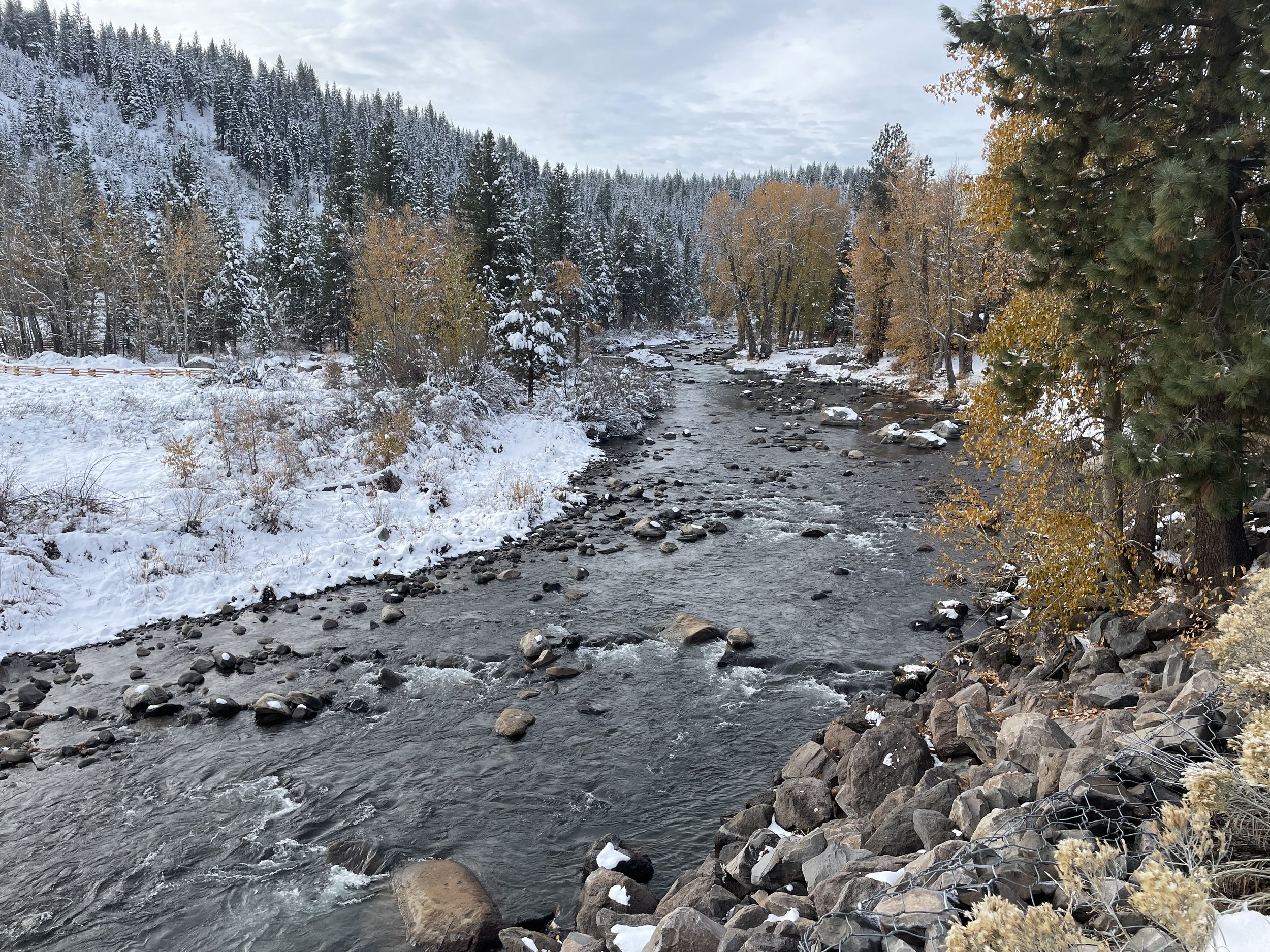 Truckee River Fall Snow