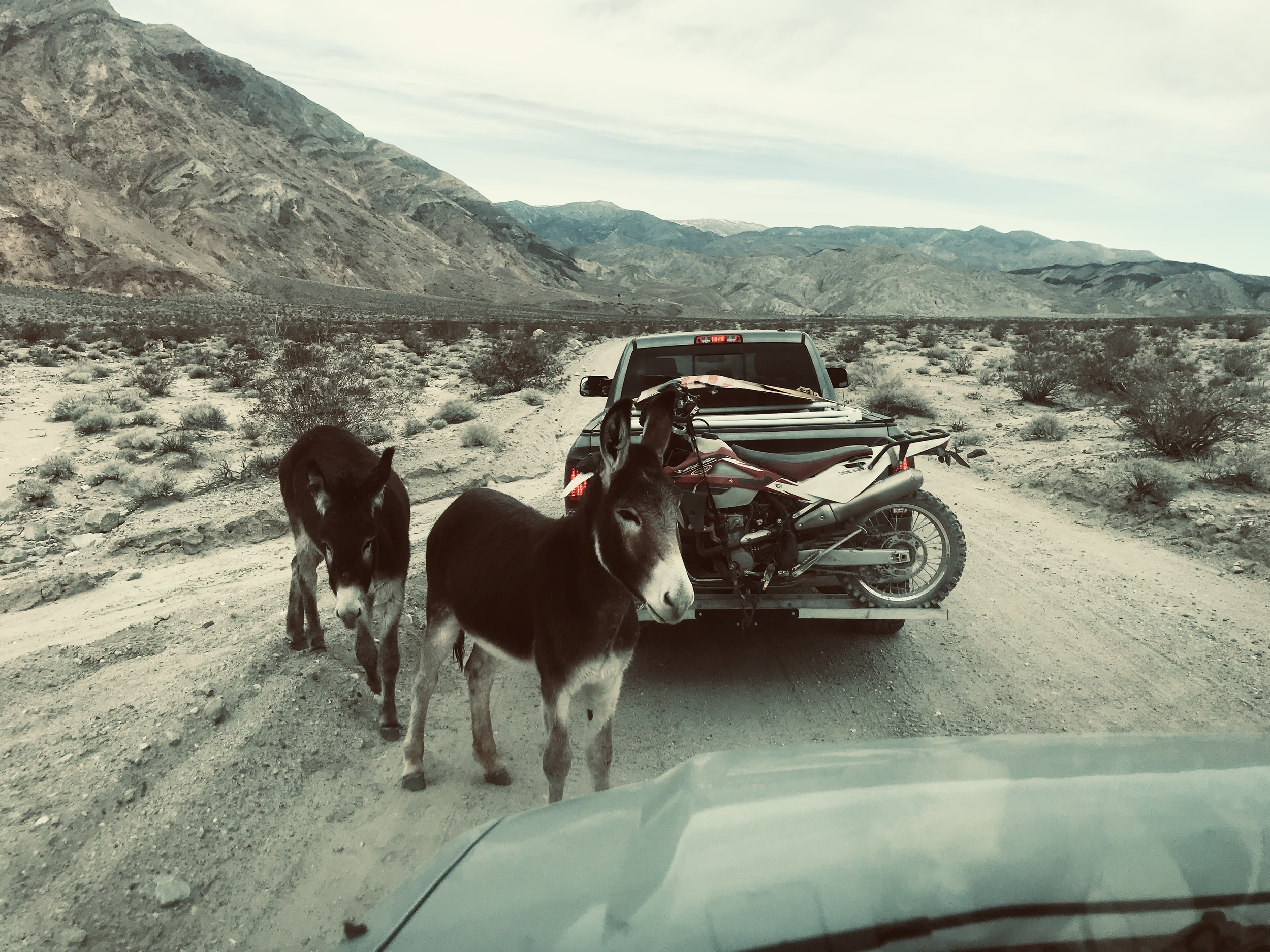 Death Valley
