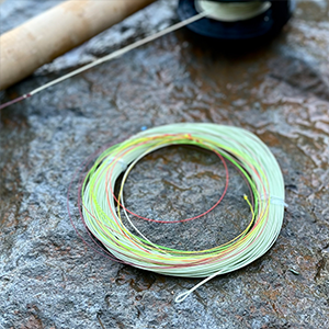 Tournament Gold WF Fly Line