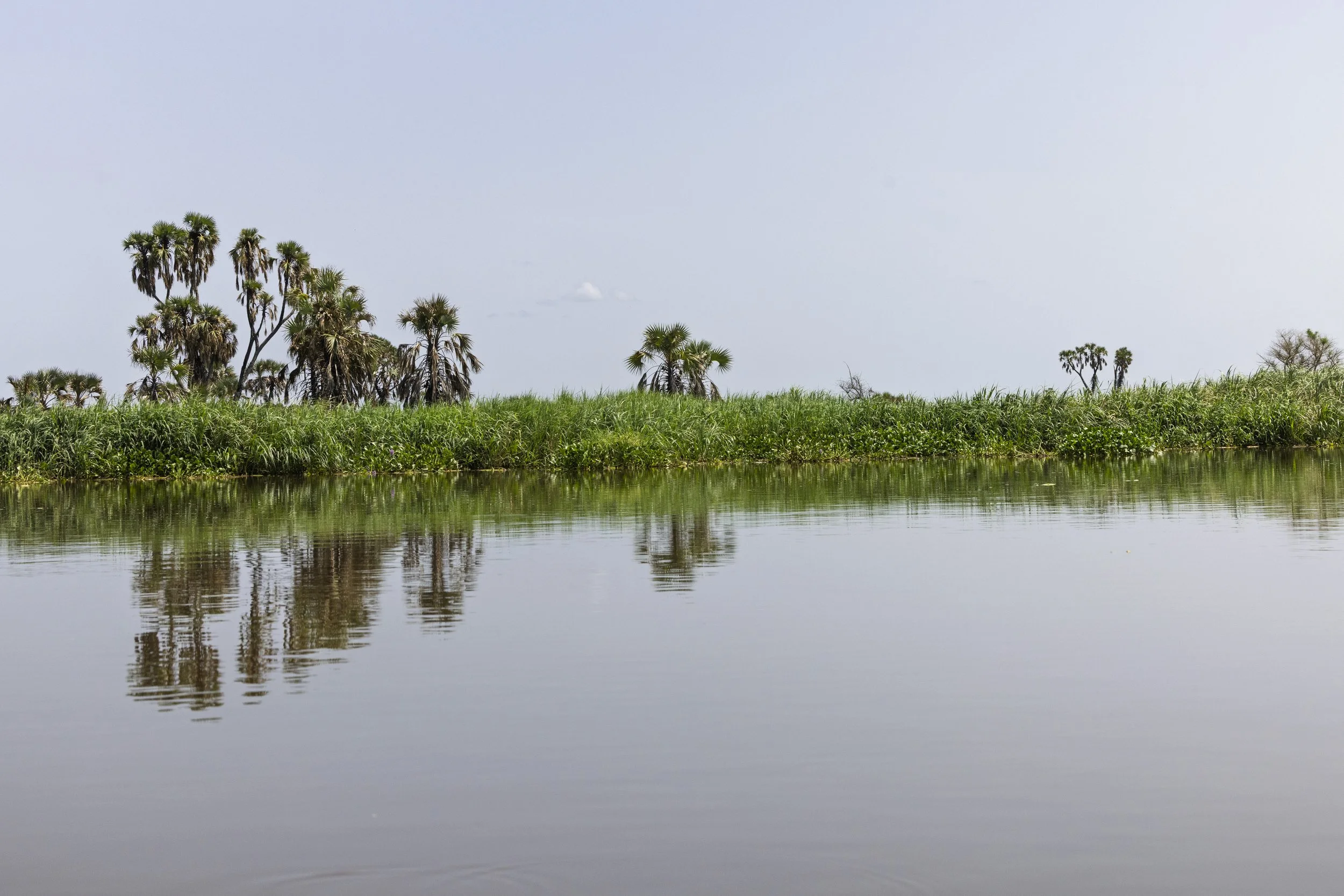 20252407_SSD_OTALLO BOMA NATIONAL PARK_RUTHILLA280.jpg