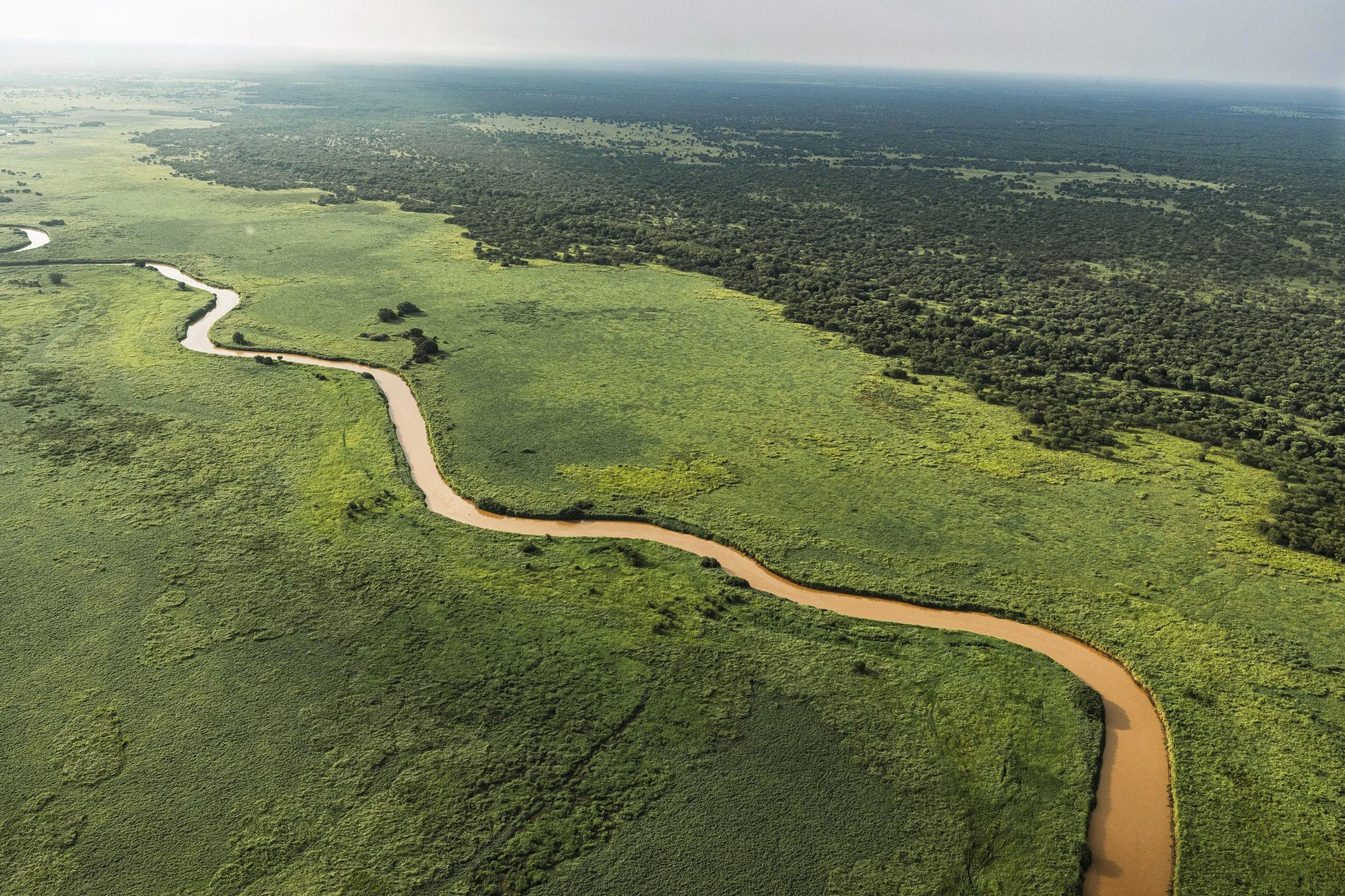20252407_SSD_OTALLO BOMA NATIONAL PARK_RUTHILLA380.jpg