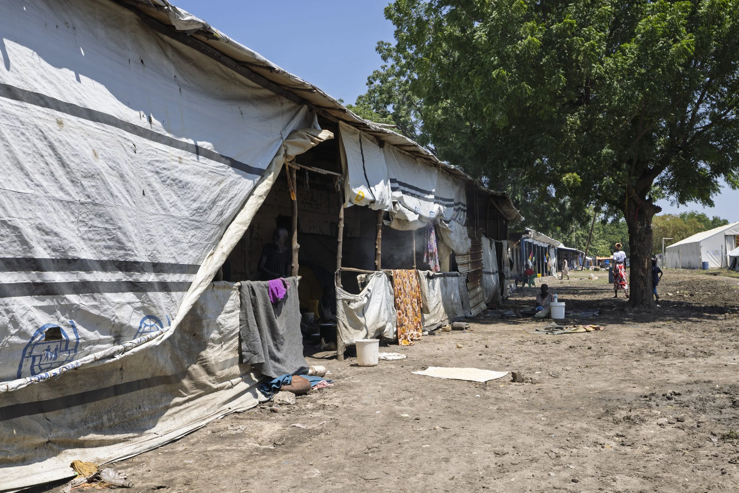A row of tents made from tarps and fabric in a refugee camp, with people and children in the background near a large tree under a clear sky.