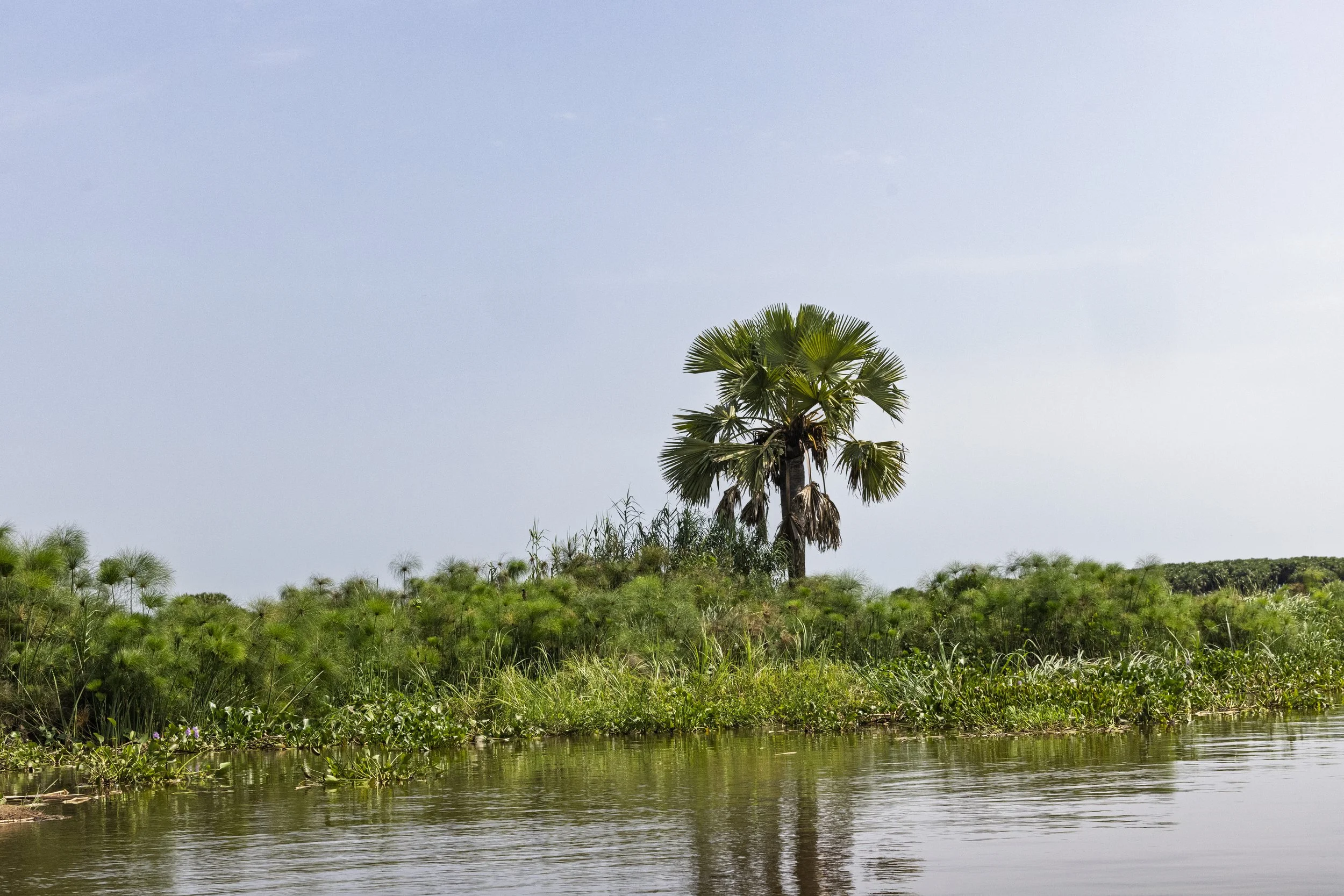 20252407_SSD_OTALLO BOMA NATIONAL PARK_RUTHILLA276.jpg