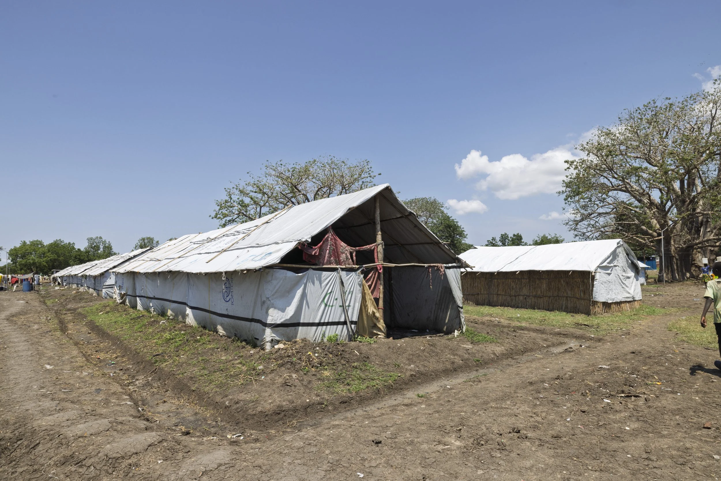A row of makeshift tents made from white tarps and wooden poles on a dirt field under a blue sky.