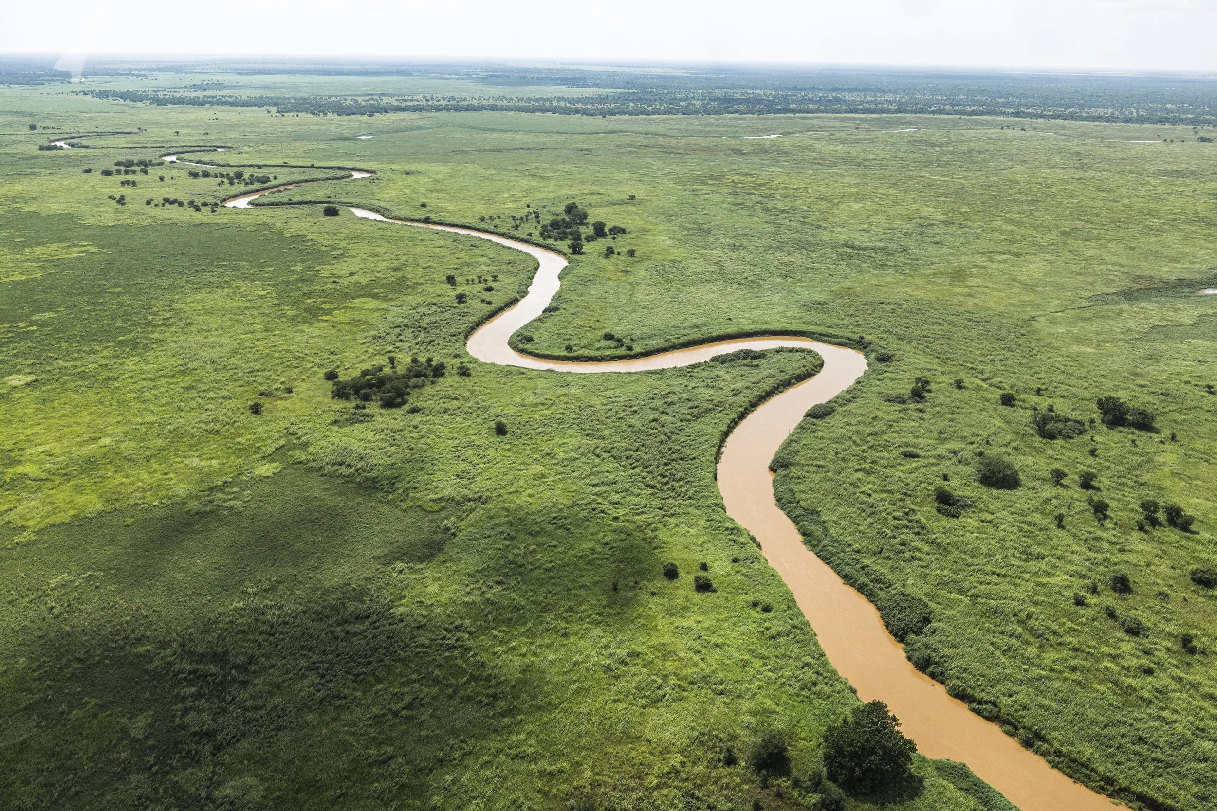 20252407_SSD_OTALLO BOMA NATIONAL PARK_RUTHILLA377.jpg