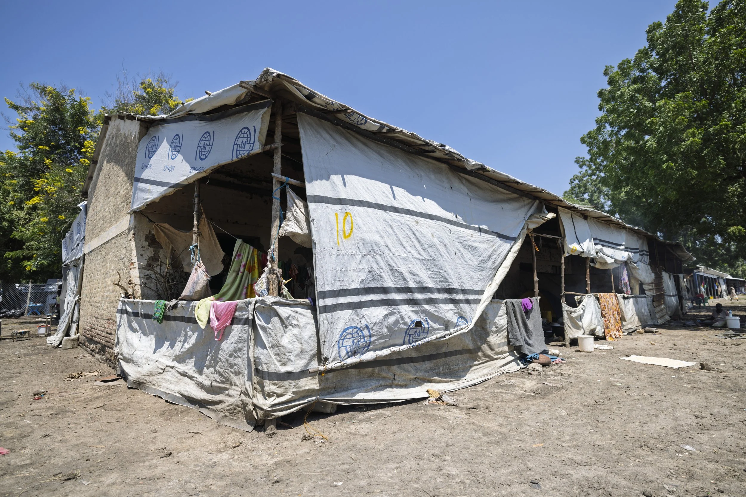 A makeshift dwelling constructed from tarps, fabric, and wooden poles, situated on bare ground with trees and a blue sky in the background.