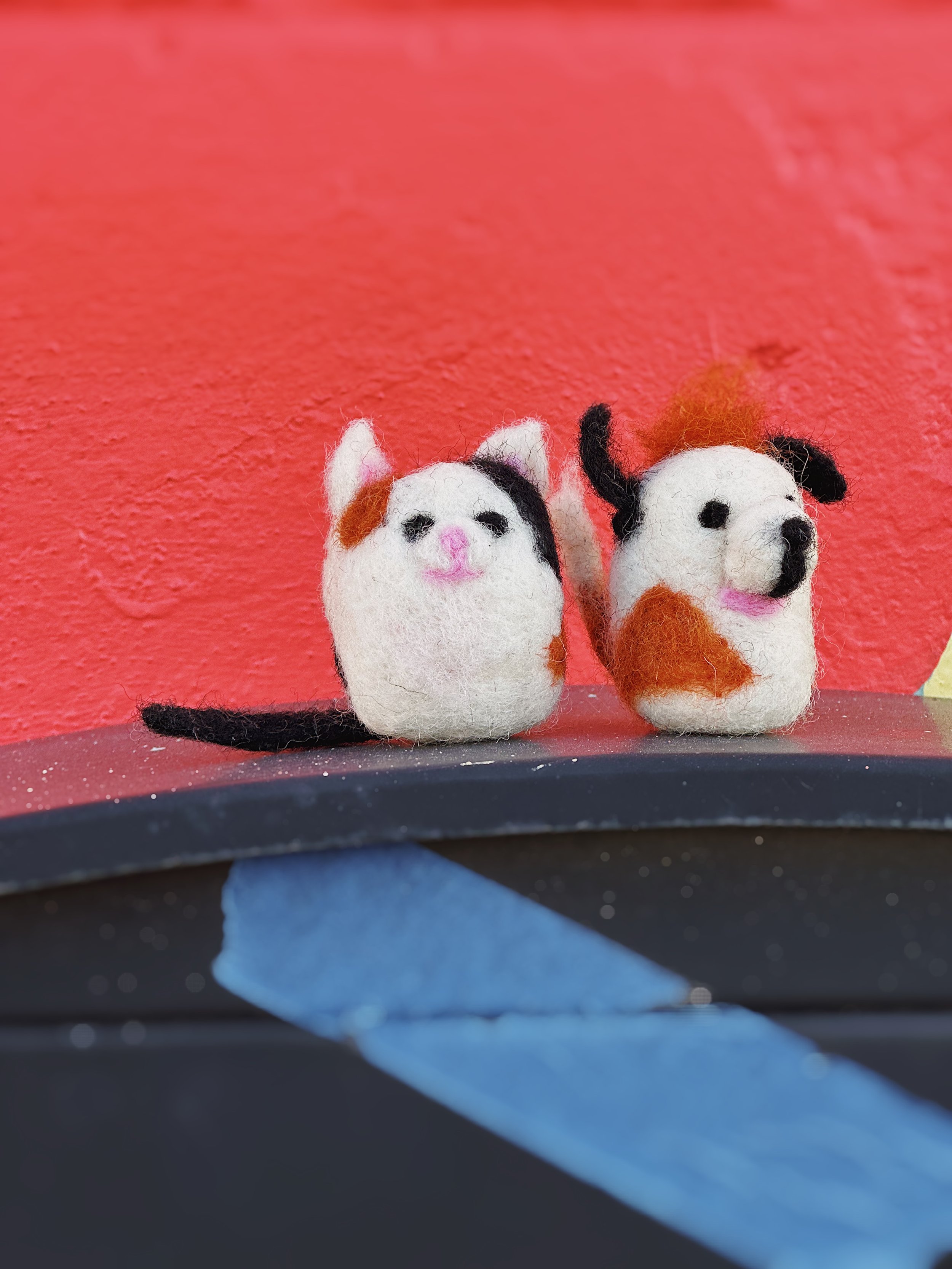 A17774F0-55A6-420C-8230-85C4BD86B2D5 2.JPG