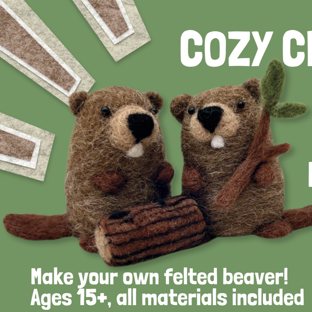 Needle+Felting+Beaver+Class.png
